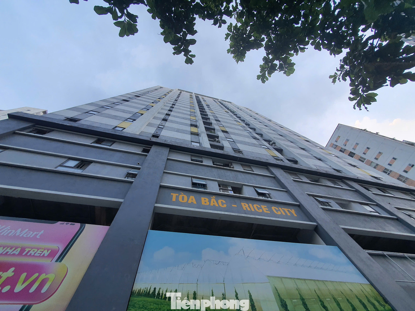 Còn tại tòa NƠXH Bắc Rice City – Tây Nam Linh Đàm (phường Hoàng Liệt, quận Hoàng Mai), thời điểm mở bán năm 2015 có giá gần 15 triệu đồng/m2. Đến hiện tại, sau 9 năm các căn hộ NƠXH tại đây đang được rao bán với giá 54 – 59 triệu đồng/m2.