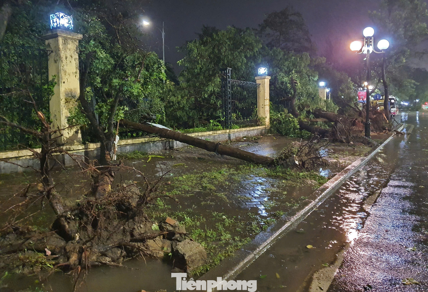 Ghi nhận tại công viên Thống Nhất (phường Phương Liên, quận Đống Đa) – công viên cây xanh biểu tượng của TP Hà Nội lúc 23h30 ngày 7/9 – 0h00 ngày 8/9, siêu bão đã khiến hơn nửa cây cổ thụ tại mặt đường Lê Duẩn bật gốc. Ghi nhận tại công viên Thống Nhất (phường Phương Liên, quận Đống Đa) – công viên cây xanh biểu tượng của TP Hà Nội lúc 23h30 ngày 7/9 – 0h00 ngày 8/9, siêu bão đã khiến hơn nửa cây cổ thụ tại mặt đường Lê Duẩn bật gốc.