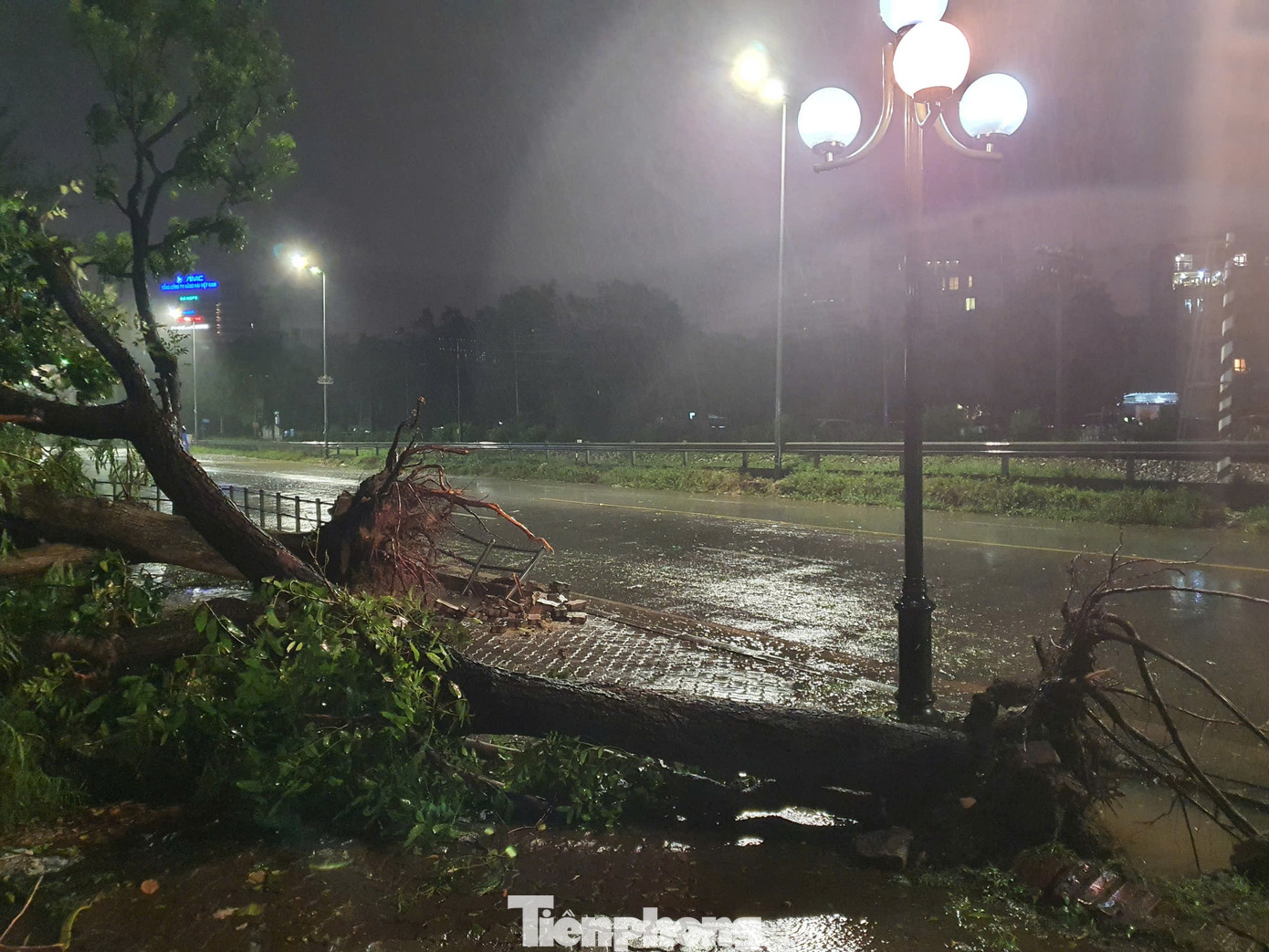 Một đoạn hàng rào của công viên ở mặt đường Lê Duẩn đã bị hư hỏng hoàn toàn, do nhiều cây cổ thụ cùng đổ đè lên. Một đoạn hàng rào của công viên ở mặt đường Lê Duẩn đã bị hư hỏng hoàn toàn, do nhiều cây cổ thụ cùng đổ đè lên.