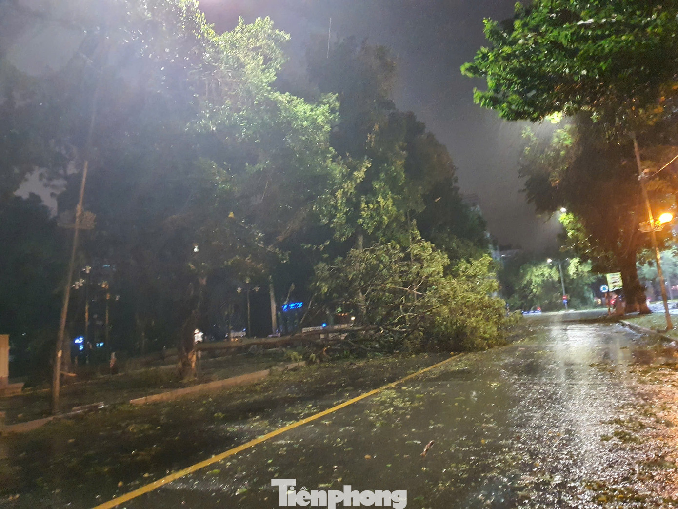 Ở phía mặt đường Trần Nhân Tông, gió bão cũng làm nhiều cây lớn xước cành. Ở phía mặt đường Trần Nhân Tông, gió bão cũng làm nhiều cây lớn xước cành.