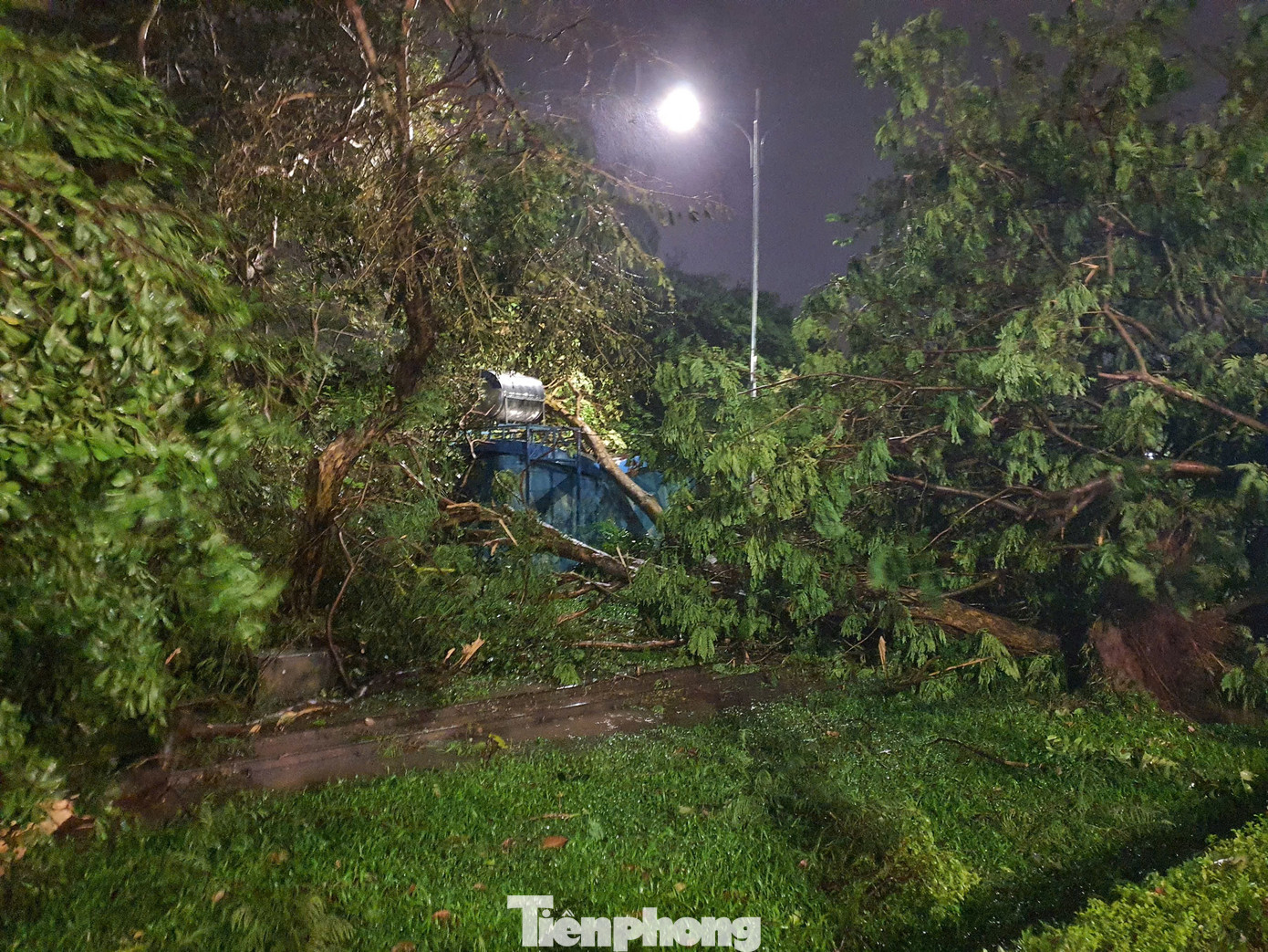 Cây lớn còn đổ đè lên bốt trực trong công viên. Cây lớn còn đổ đè lên bốt trực trong công viên.