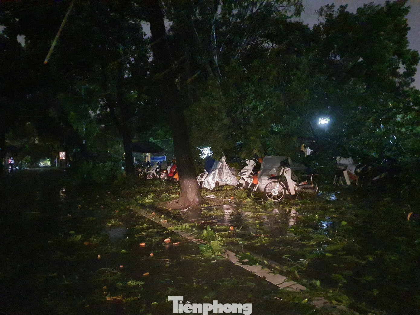 Tại khu vực vỉa hè công viên Thống Nhất, ở phía mặt đường Nguyễn Đình Chiểu, siêu bão đã khiến hàng loạt cây lớn đổ rạp, đè lên rất nhiều xe máy và ô tô để ở đây. Tại khu vực vỉa hè công viên Thống Nhất, ở phía mặt đường Nguyễn Đình Chiểu, siêu bão đã khiến hàng loạt cây lớn đổ rạp, đè lên rất nhiều xe máy và ô tô để ở đây.