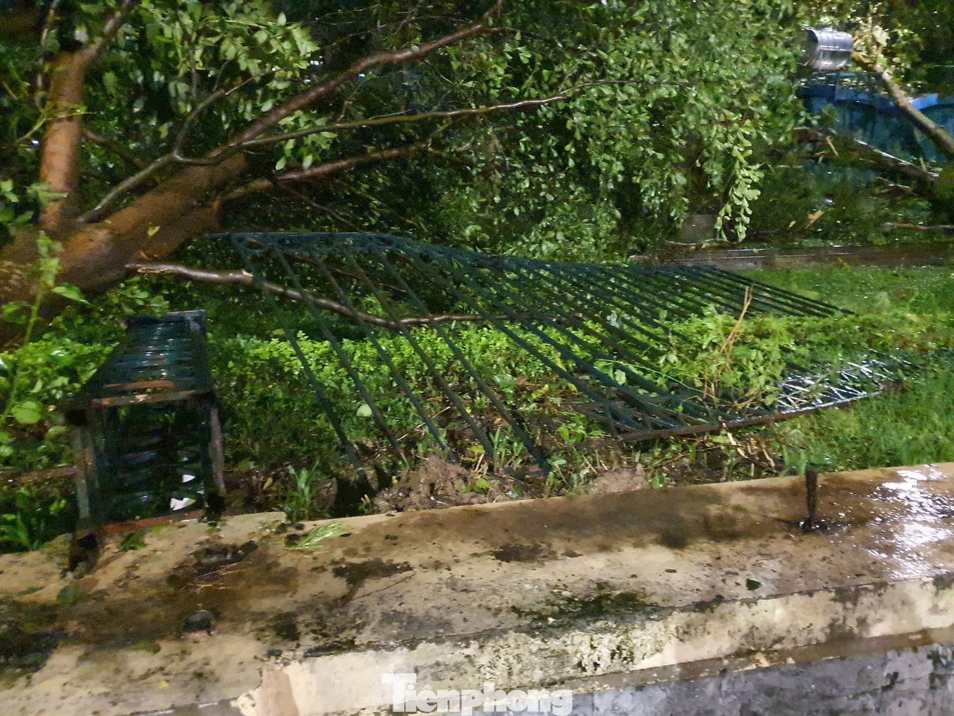 Một đoạn hàng rào của công viên ở mặt đường Lê Duẩn đã bị hư hỏng hoàn toàn, do nhiều cây cổ thụ cùng đổ đè lên. Một đoạn hàng rào của công viên ở mặt đường Lê Duẩn đã bị hư hỏng hoàn toàn, do nhiều cây cổ thụ cùng đổ đè lên.