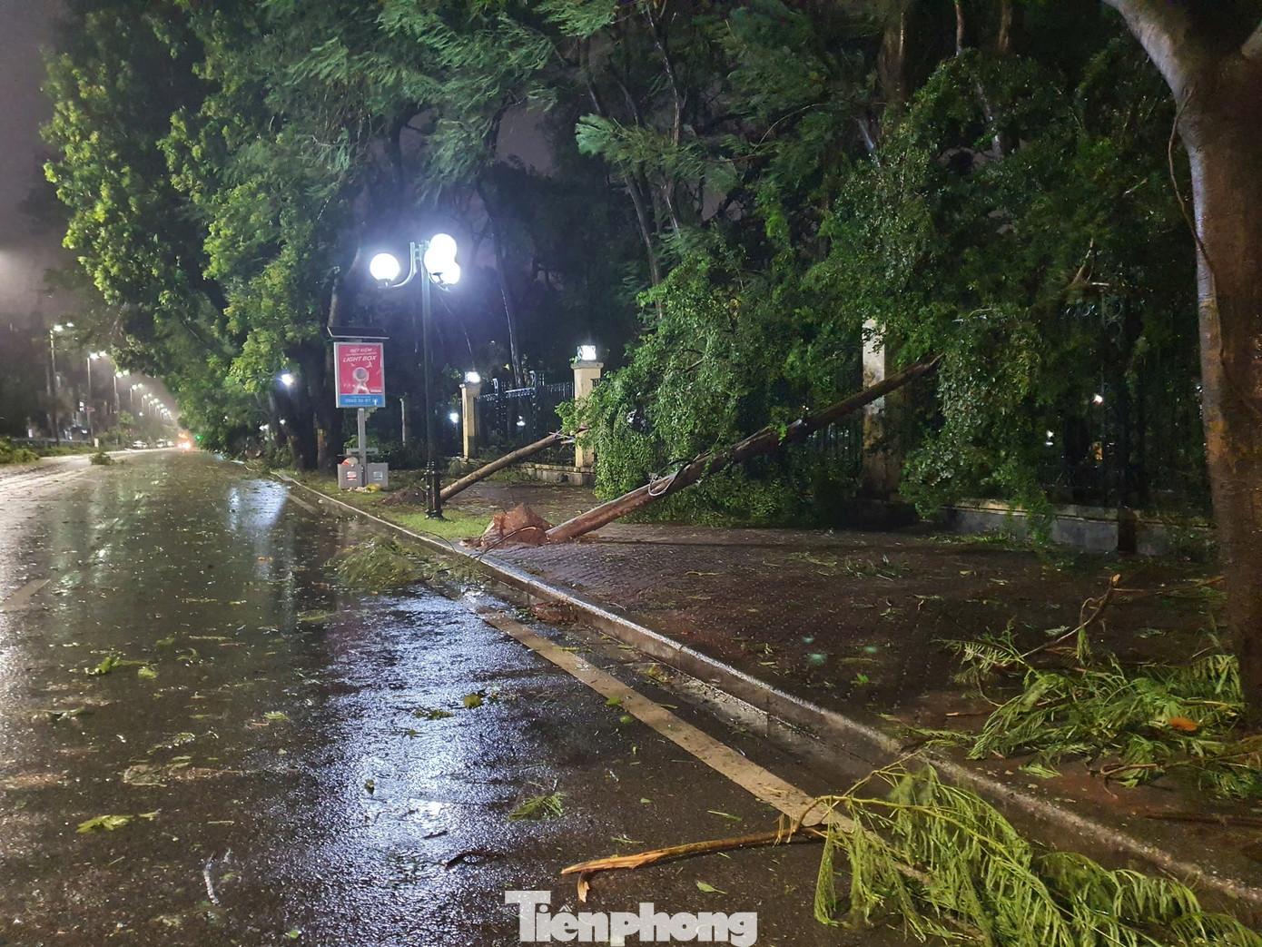 Từ lâu, công viên Thống Nhất được coi là "lá phổi xanh", điểm đến thú vị để dạo chơi, hóng mát cũng như tập thể dục của người dân Thủ đô và du khách. Do đó, khung cảnh xác xơ của công viên giữa siêu bão, khiến nhiều người không khỏi xót xa. Từ lâu, công viên Thống Nhất được coi là "lá phổi xanh", điểm đến thú vị để dạo chơi, hóng mát cũng như tập thể dục của người dân Thủ đô và du khách. Do đó, khung cảnh xác xơ của công viên giữa siêu bão, khiến nhiều người không khỏi xót xa.
