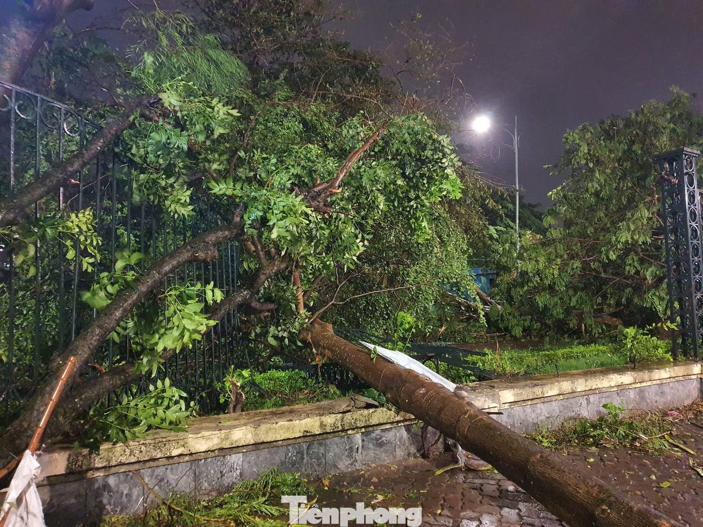 Từ lâu, công viên Thống Nhất được coi là "lá phổi xanh", điểm đến thú vị để dạo chơi, hóng mát cũng như tập thể dục của người dân Thủ đô và du khách. Do đó, khung cảnh xác xơ của công viên giữa siêu bão, khiến nhiều người không khỏi xót xa. Từ lâu, công viên Thống Nhất được coi là "lá phổi xanh", điểm đến thú vị để dạo chơi, hóng mát cũng như tập thể dục của người dân Thủ đô và du khách. Do đó, khung cảnh xác xơ của công viên giữa siêu bão, khiến nhiều người không khỏi xót xa.