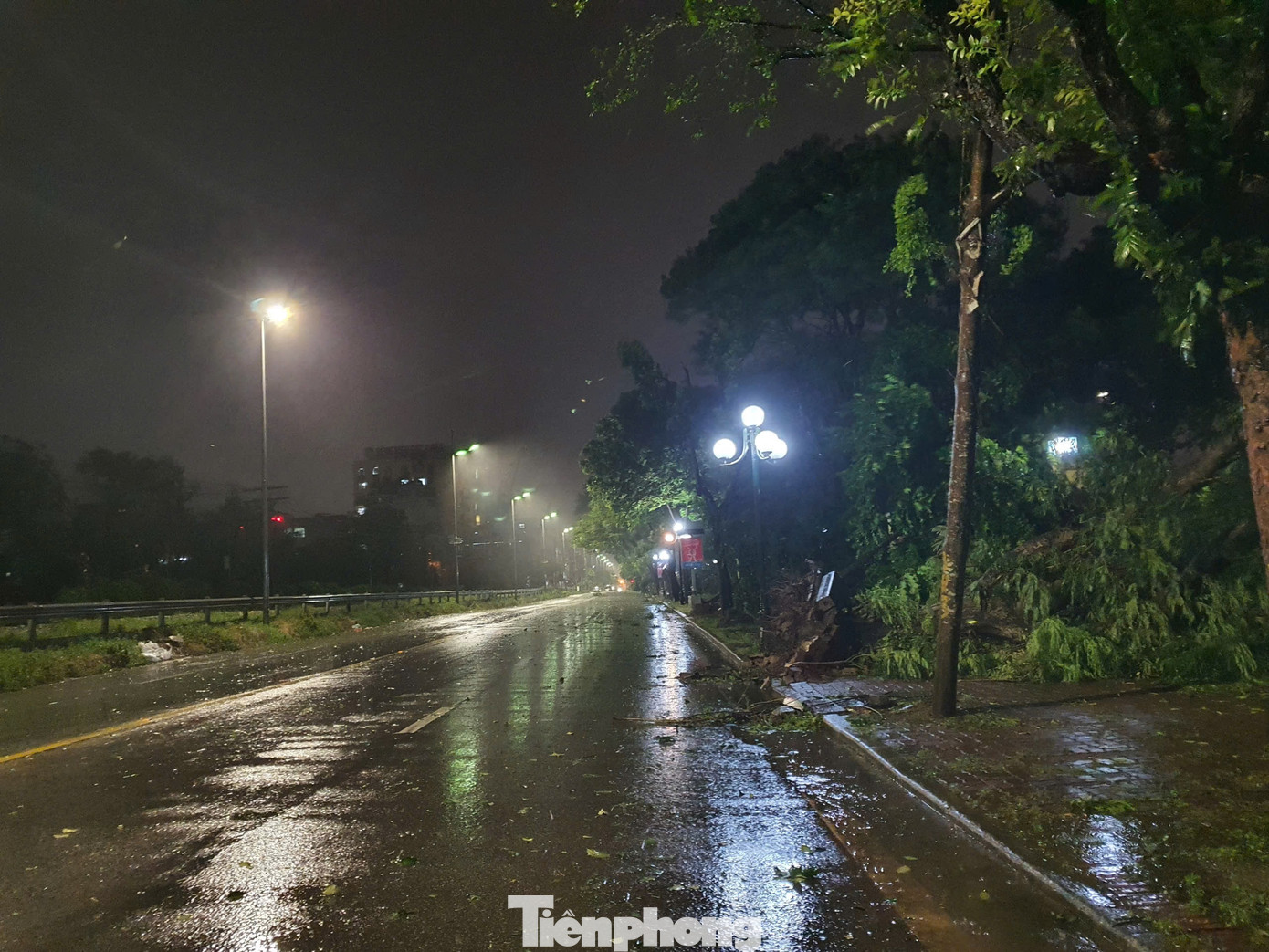 Công viên có diện tích hơn 50ha, với hàng vạn cây xanh nằm giữa 4 phố: Trần Nhân Tông, Lê Duẩn, Đại Cồ Việt và Nguyễn Đình Chiểu, có rất nhiều lối vào, trong đó cổng chính nằm bên mặt đường Trần Nhân Tông. Công viên có diện tích hơn 50ha, với hàng vạn cây xanh nằm giữa 4 phố: Trần Nhân Tông, Lê Duẩn, Đại Cồ Việt và Nguyễn Đình Chiểu, có rất nhiều lối vào, trong đó cổng chính nằm bên mặt đường Trần Nhân Tông.