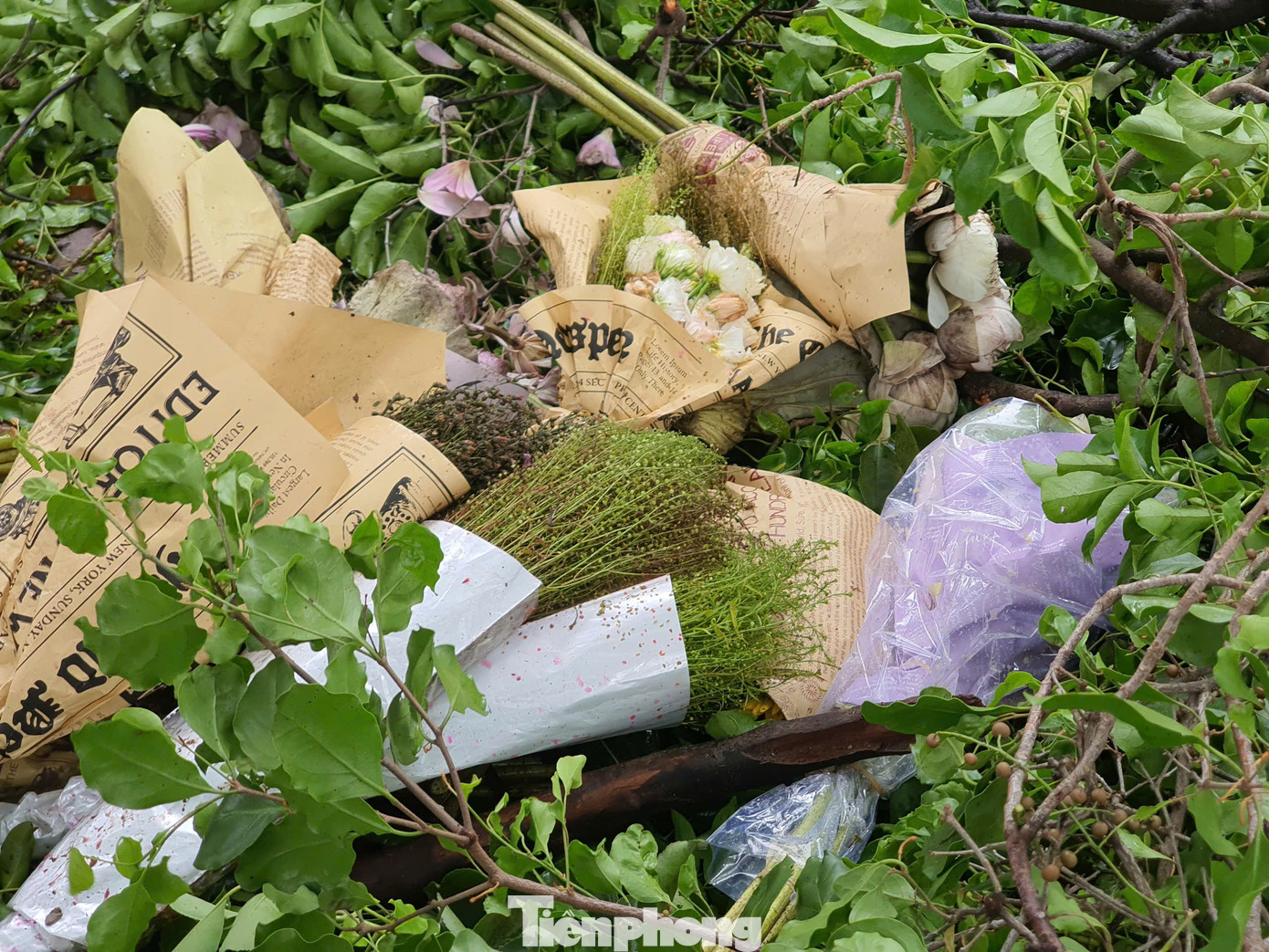 Những bó hoa tươi bị bỏ quên la liệt trên tuyến đường được mệnh danh là đẹp nhất Hà Nội vào mùa thu. Những bó hoa tươi bị bỏ quên la liệt trên tuyến đường được mệnh danh là đẹp nhất Hà Nội vào mùa thu.