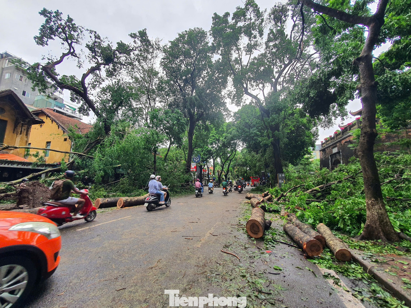 Tại phố Phan Đình Phùng, khung cảnh con đường với những xe hoa mùa thu hai bên đường, nay đã được thay thế bởi những gốc cây nghiêng ngả, bị cưa thành nhiều đoạn. Tại phố Phan Đình Phùng, khung cảnh con đường với những xe hoa mùa thu hai bên đường, nay đã được thay thế bởi những gốc cây nghiêng ngả, bị cưa thành nhiều đoạn.