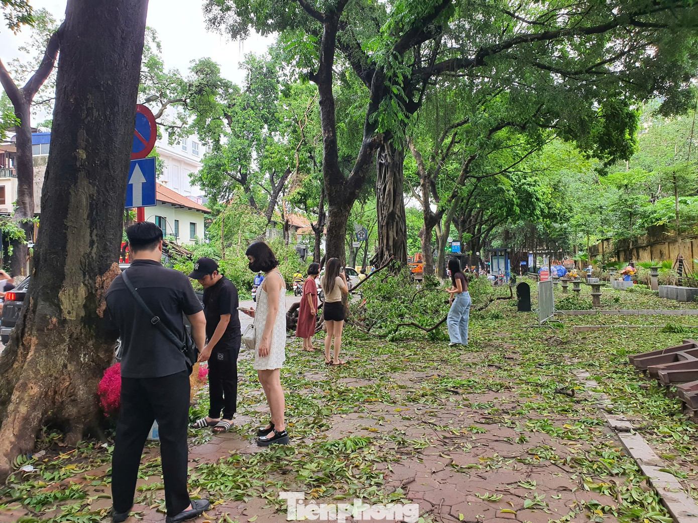 Đáng chú ý, mặc dù mưa bão và đường phố ngổn ngang cây đổ, nhưng nhiều bạn trẻ vẫn đến phố Phan Đình Phùng để chụp ảnh. Đáng chú ý, mặc dù mưa bão và đường phố ngổn ngang cây đổ, nhưng nhiều bạn trẻ vẫn đến phố Phan Đình Phùng để chụp ảnh.
