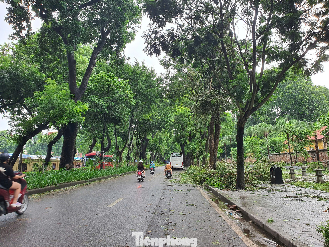 Siêu bão số 3 đã đi qua Hà Nội nhưng hậu quả để lại là vô cùng nặng nề, nhất là đối với hệ thống cây xanh, trên những con đường được mệnh danh là đẹp nhất Thủ đô. Siêu bão số 3 đã đi qua Hà Nội nhưng hậu quả để lại là vô cùng nặng nề, nhất là đối với hệ thống cây xanh, trên những con đường được mệnh danh là đẹp nhất Thủ đô.