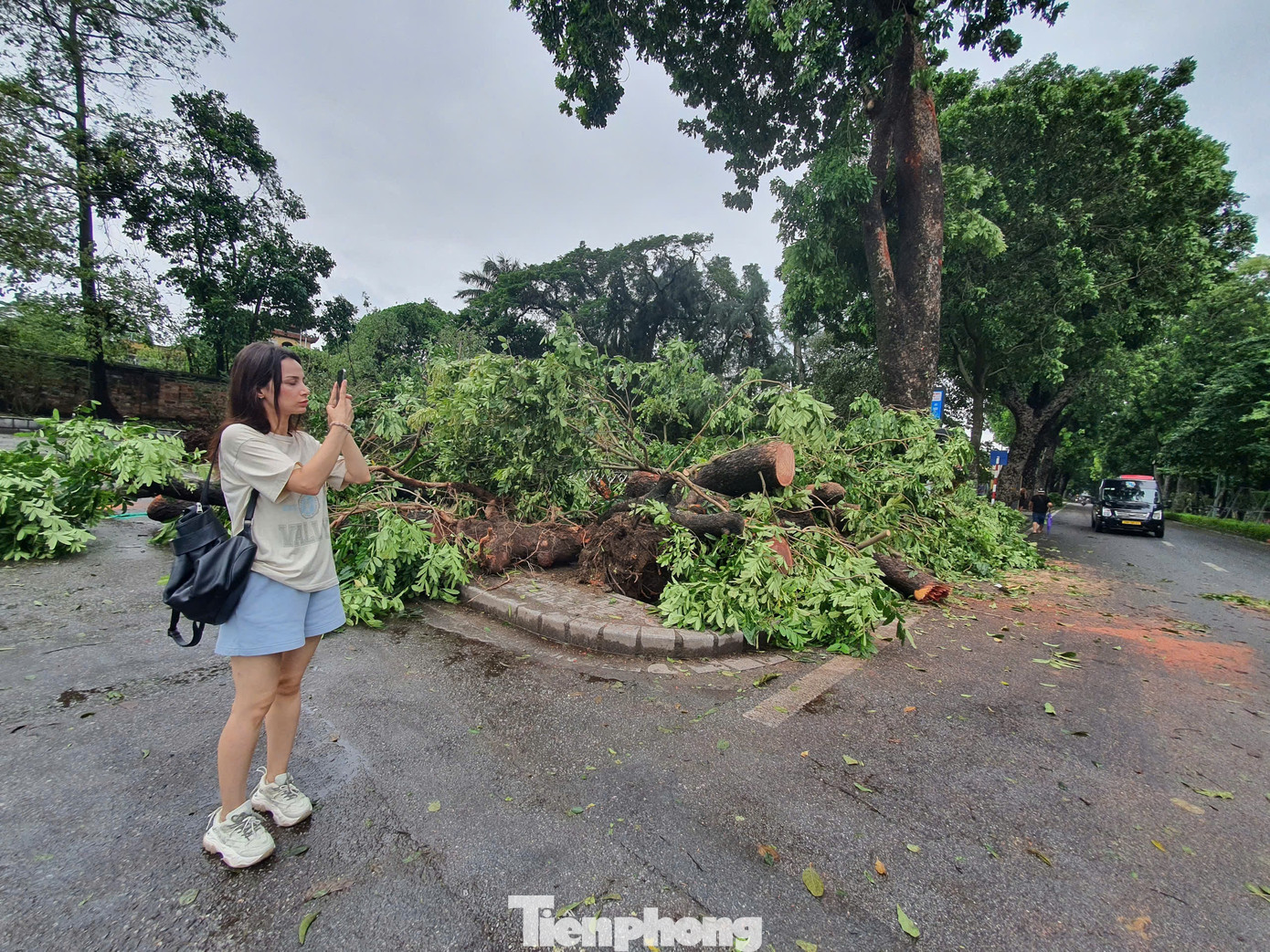 Chia sẻ với Tiền Phong, nữ du khách người Anh Jones.K.L bày tỏ: “Khi nhìn thấy hình ảnh về những con đường cây xanh vào mùa thu ở Hà Nội, tôi đã lập tức đặt vé máy bay để đến đây du lịch. Tuy nhiên, sau cơn bão khủng khiếp vào chiều và tối qua, giờ đây những cây lớn trên con đường này đã bị gẫy đổ. Thật sự đáng tiếc, nhưng trong mắt tôi những con đường ở Thủ đô của các bạn vẫn luôn rất đẹp”. Chia sẻ với Tiền Phong, nữ du khách người Anh Jones.K.L bày tỏ: “Khi nhìn thấy hình ảnh về những con đường cây xanh vào mùa thu ở Hà Nội, tôi đã lập tức đặt vé máy bay để đến đây du lịch. Tuy nhiên, sau cơn bão khủng khiếp vào chiều và tối qua, giờ đây những cây lớn trên con đường này đã bị gẫy đổ. Thật sự đáng tiếc, nhưng trong mắt tôi những con đường ở Thủ đô của các bạn vẫn luôn rất đẹp”.