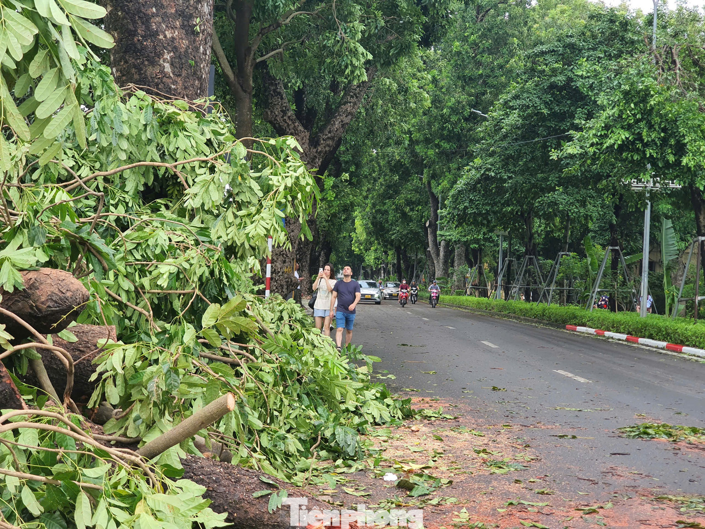 Chia sẻ với Tiền Phong, nữ du khách người Anh Jones.K.L bày tỏ: “Khi nhìn thấy hình ảnh về những con đường cây xanh vào mùa thu ở Hà Nội, tôi đã lập tức đặt vé máy bay để đến đây du lịch. Tuy nhiên, sau cơn bão khủng khiếp vào chiều và tối qua, giờ đây những cây lớn trên con đường này đã bị gẫy đổ. Thật sự đáng tiếc, nhưng trong mắt tôi những con đường ở Thủ đô của các bạn vẫn luôn rất đẹp”. Chia sẻ với Tiền Phong, nữ du khách người Anh Jones.K.L bày tỏ: “Khi nhìn thấy hình ảnh về những con đường cây xanh vào mùa thu ở Hà Nội, tôi đã lập tức đặt vé máy bay để đến đây du lịch. Tuy nhiên, sau cơn bão khủng khiếp vào chiều và tối qua, giờ đây những cây lớn trên con đường này đã bị gẫy đổ. Thật sự đáng tiếc, nhưng trong mắt tôi những con đường ở Thủ đô của các bạn vẫn luôn rất đẹp”.