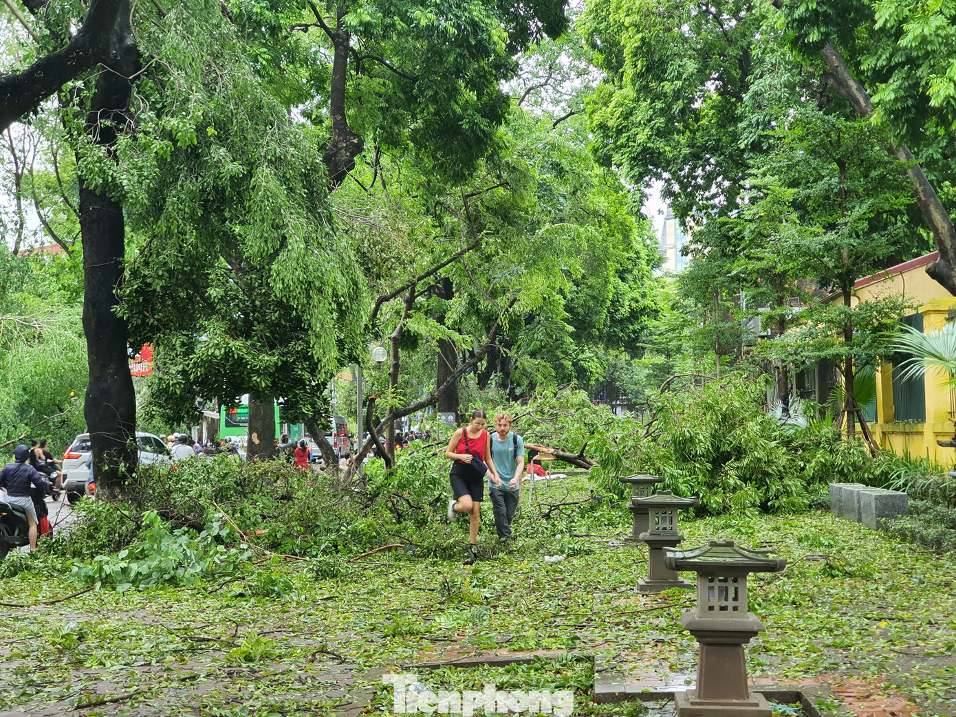 Đáng chú ý, mặc dù mưa bão và đường phố ngổn ngang cây đổ, nhưng nhiều bạn trẻ vẫn đến phố Phan Đình Phùng để chụp ảnh. Đáng chú ý, mặc dù mưa bão và đường phố ngổn ngang cây đổ, nhưng nhiều bạn trẻ vẫn đến phố Phan Đình Phùng để chụp ảnh.