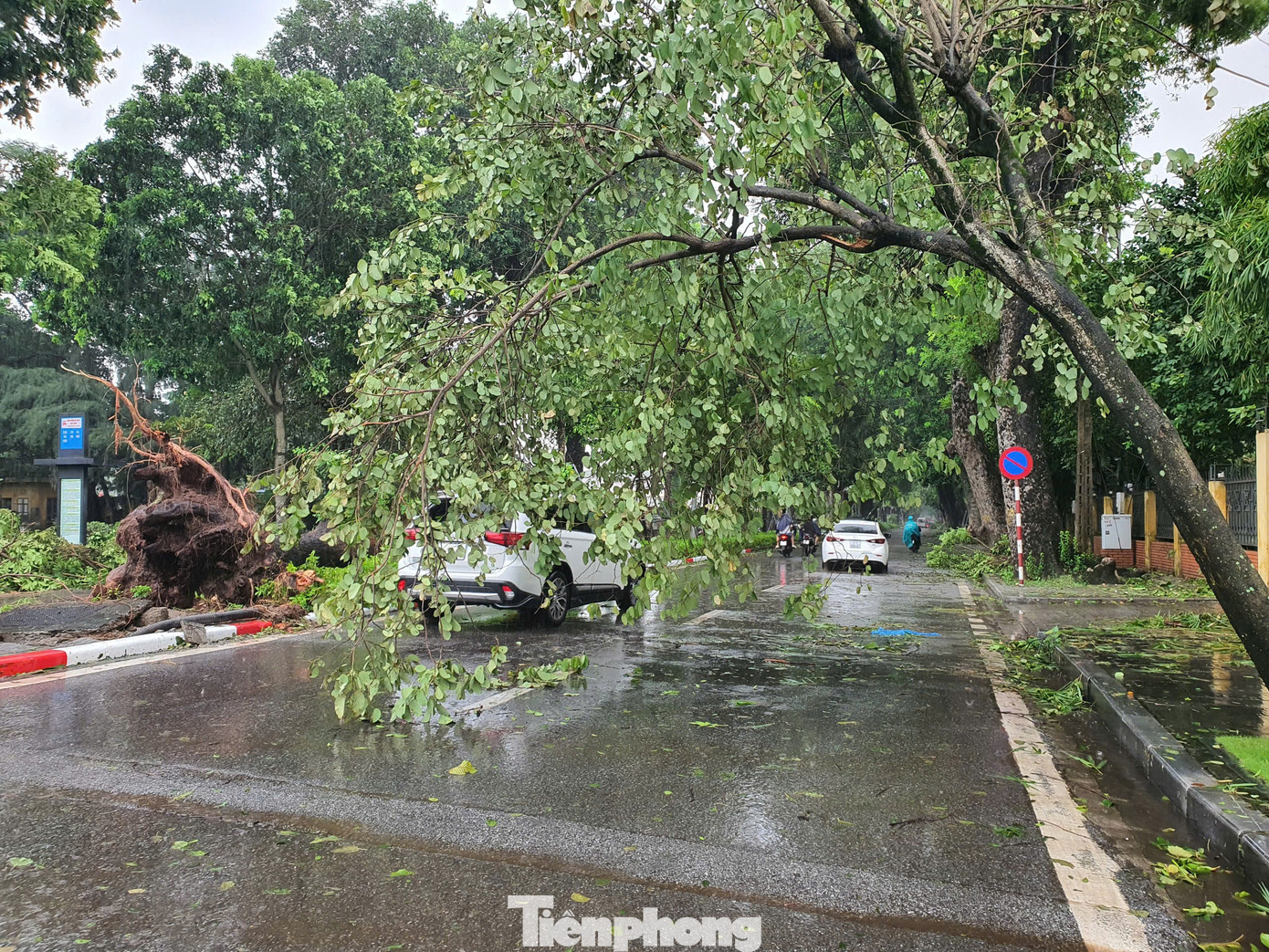 Tại đường Hoàng Diệu, cây cổ thụ ở khu vực gần Hoàng Thành Thăng Long bị bật gốc và gẫy đổ, khiến lực lượng chức năng phải cưa bỏ để không gây cản trở giao thông. Tại đường Hoàng Diệu, cây cổ thụ ở khu vực gần Hoàng Thành Thăng Long bị bật gốc và gẫy đổ, khiến lực lượng chức năng phải cưa bỏ để không gây cản trở giao thông.