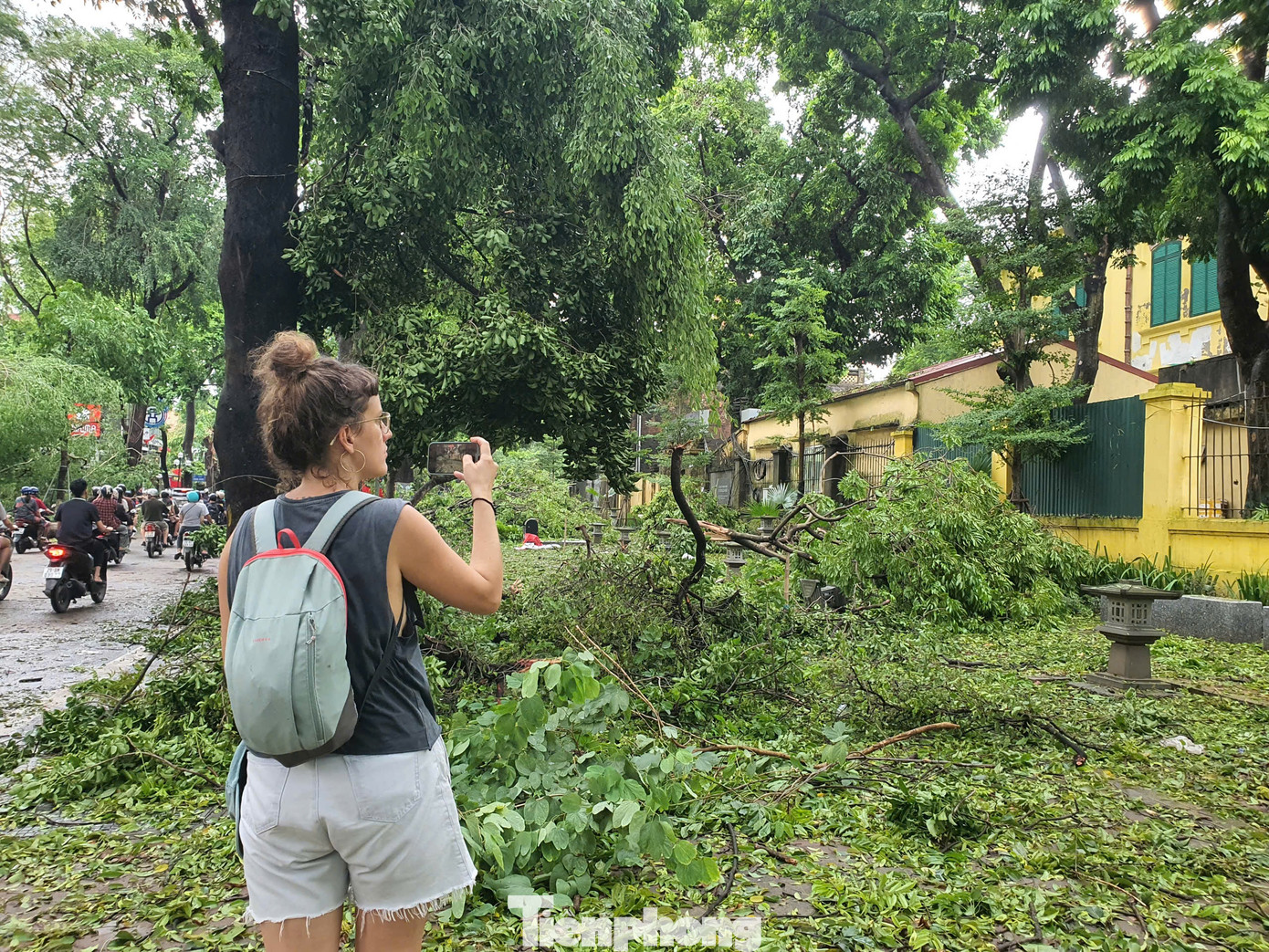 Đáng chú ý, mặc dù mưa bão và đường phố ngổn ngang cây đổ, nhưng nhiều bạn trẻ vẫn đến phố Phan Đình Phùng để chụp ảnh. Đáng chú ý, mặc dù mưa bão và đường phố ngổn ngang cây đổ, nhưng nhiều bạn trẻ vẫn đến phố Phan Đình Phùng để chụp ảnh.