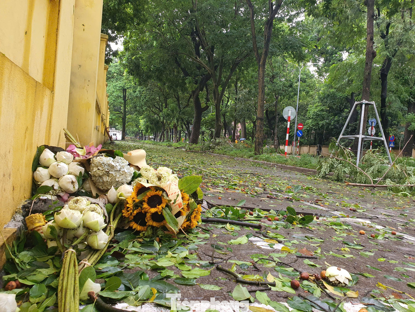 Những bó hoa tươi bị bỏ quên la liệt trên tuyến đường được mệnh danh là đẹp nhất Hà Nội vào mùa thu. Những bó hoa tươi bị bỏ quên la liệt trên tuyến đường được mệnh danh là đẹp nhất Hà Nội vào mùa thu.