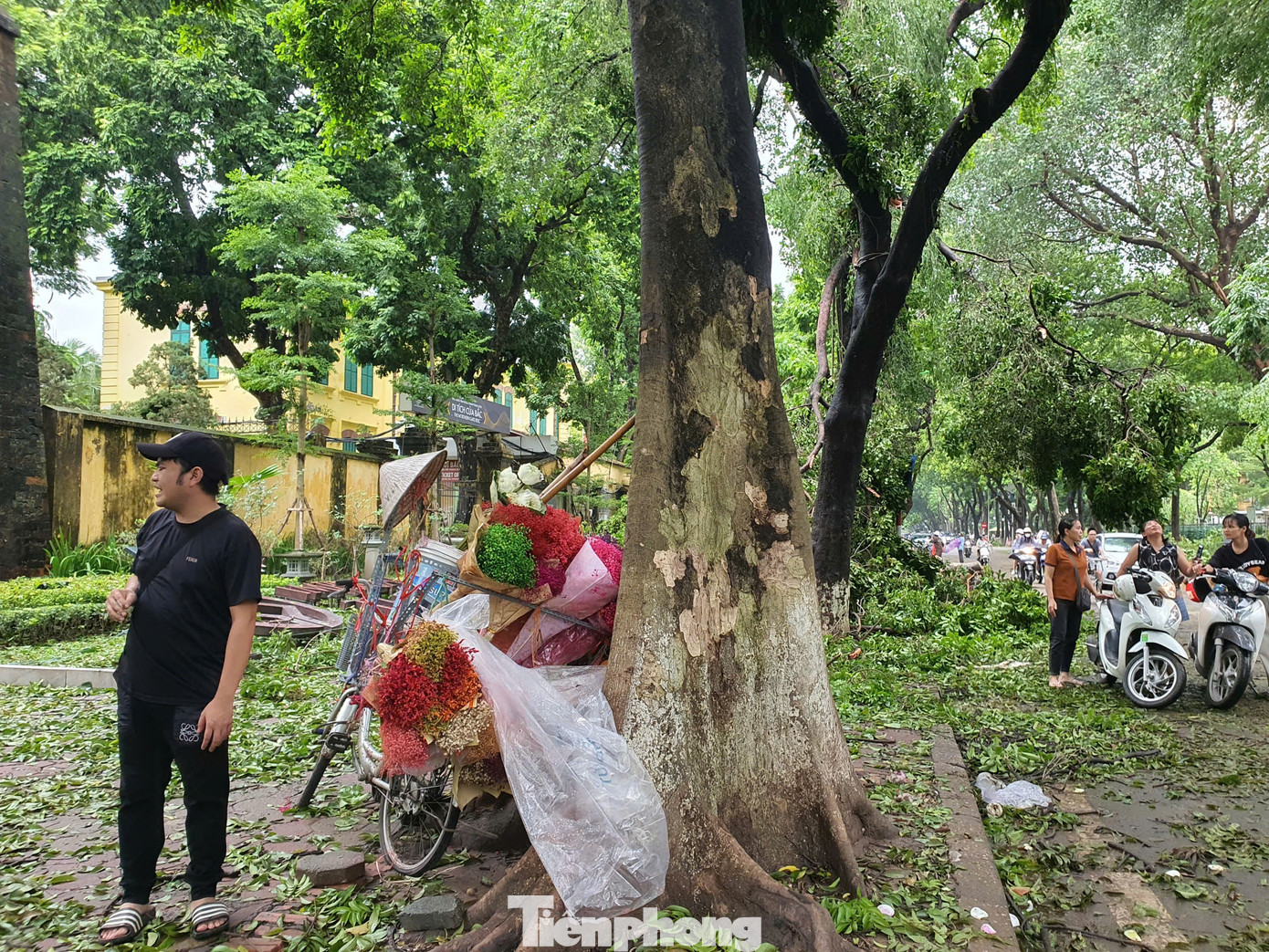 Bên cạnh việc du khách đến chụp hình giữa trời mưa bão, một số người dân cũng tranh thủ đẩy xe hoa ra cho khách thuê hoặc mua để chụp hình. Bên cạnh việc du khách đến chụp hình giữa trời mưa bão, một số người dân cũng tranh thủ đẩy xe hoa ra cho khách thuê hoặc mua để chụp hình.