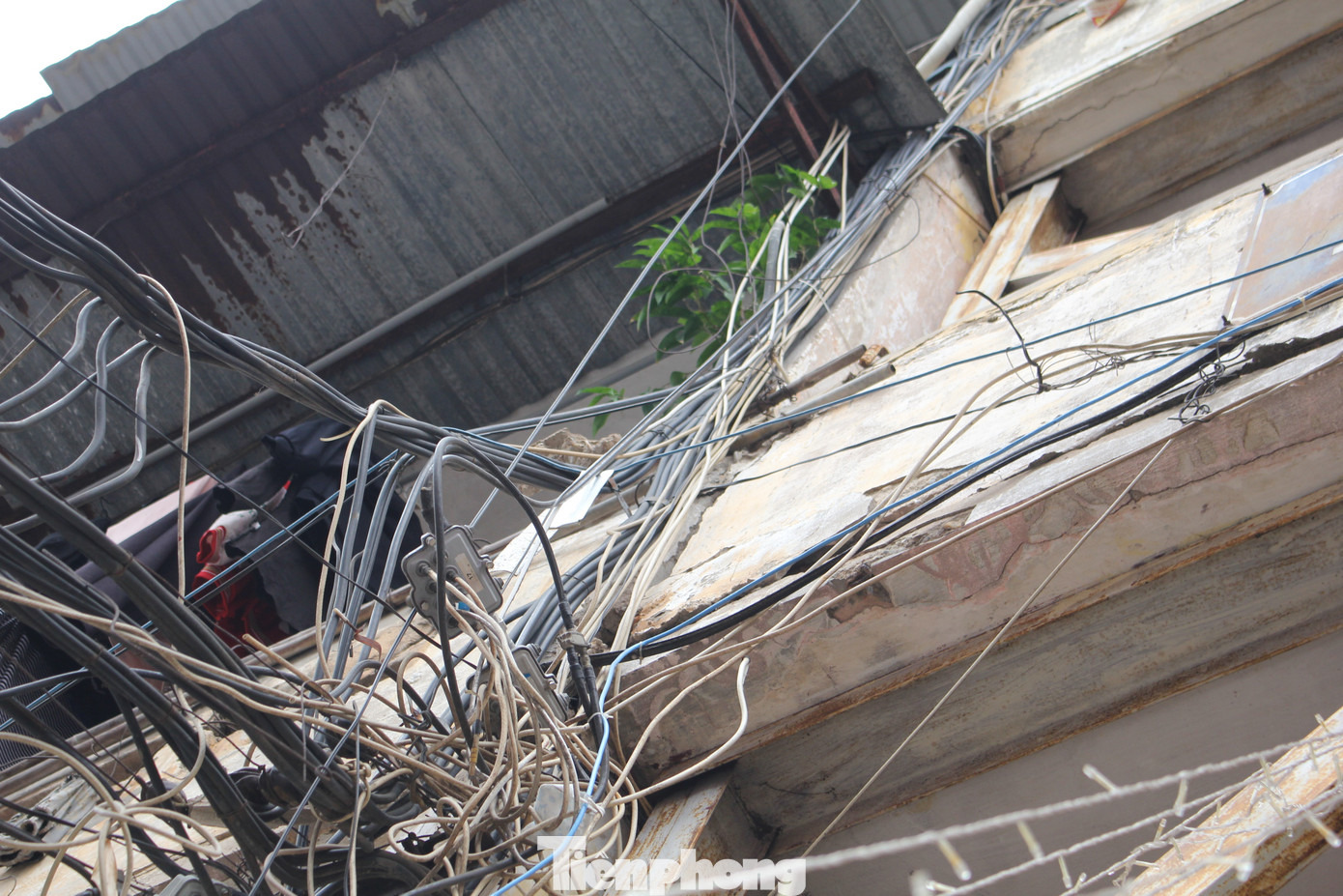 Tuy nhiên, mặc dù công tác cải tạo, xây dựng lại chung cư cũ trên địa bàn TP được nghiên cứu, đặt ra nhiệm vụ từ hơn 30 năm qua, nhưng đến nay mới thực hiện được khoảng 1,2%.