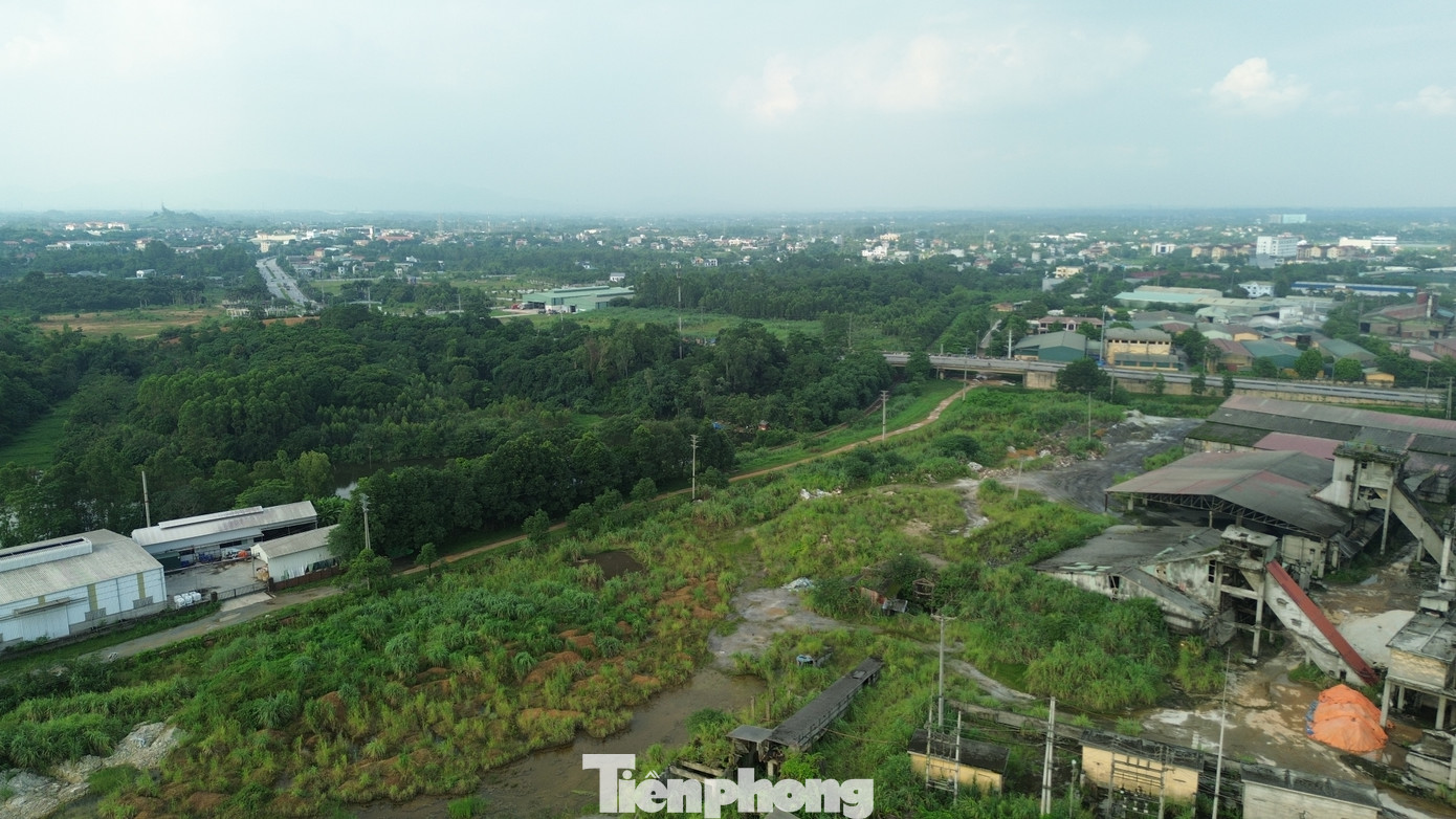 Không ít khu vực bị cây dại mọc kín, lộ rõ dấu hiệu xuống cấp.