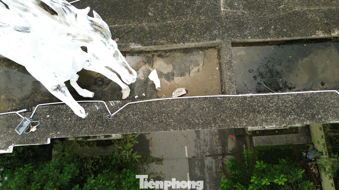 Có tượng mã bị nứt cổ, có tượng mã bị cụt đuôi trong khi tượng khác thì bị cụt, sứt chân hay vỡ phần bụng. Có tượng mã bị nứt cổ, có tượng mã bị cụt đuôi trong khi tượng khác thì bị cụt, sứt chân hay vỡ phần bụng.