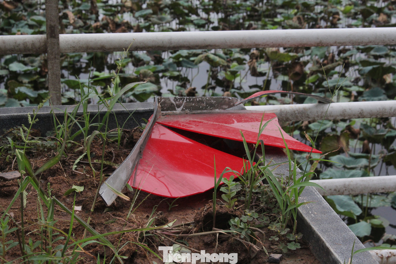 Chữ “Love” từng tạo trend check-in ở thung lũng hoa Hồ Tây nay đã “tan vỡ”. Chữ “Love” từng tạo trend check-in ở thung lũng hoa Hồ Tây nay đã “tan vỡ”.