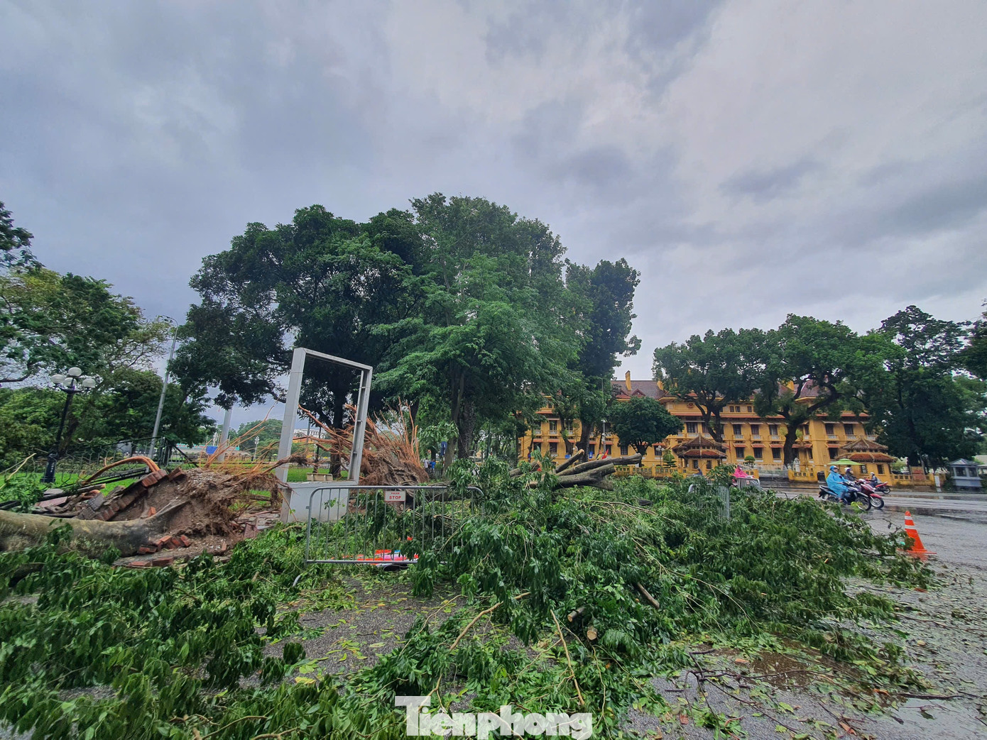 Cây sưa nổi tiếng trước cổng trụ sở Bộ Ngoại giao, hay còn gọi là tòa nhà 100 mái ở khu vực đường Chu Văn An - Điện Biên Phủ - Tôn Thất Đàm đã bị gió bão quật đổ. Cây sưa này rất nhiều người thích đến tham quan, chụp ảnh mỗi mùa hoa sưa Cây sưa nổi tiếng trước cổng trụ sở Bộ Ngoại giao, hay còn gọi là tòa nhà 100 mái ở khu vực đường Chu Văn An - Điện Biên Phủ - Tôn Thất Đàm đã bị gió bão quật đổ. Cây sưa này rất nhiều người thích đến tham quan, chụp ảnh mỗi mùa hoa sưa