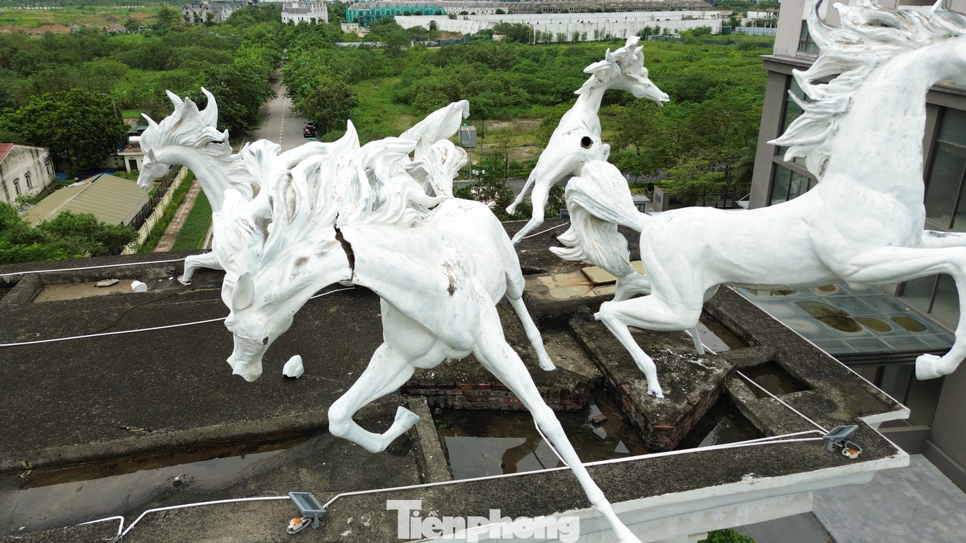 Có tượng mã bị nứt cổ, có tượng mã bị cụt đuôi trong khi tượng khác thì bị cụt, sứt chân hay vỡ phần bụng. Có tượng mã bị nứt cổ, có tượng mã bị cụt đuôi trong khi tượng khác thì bị cụt, sứt chân hay vỡ phần bụng.