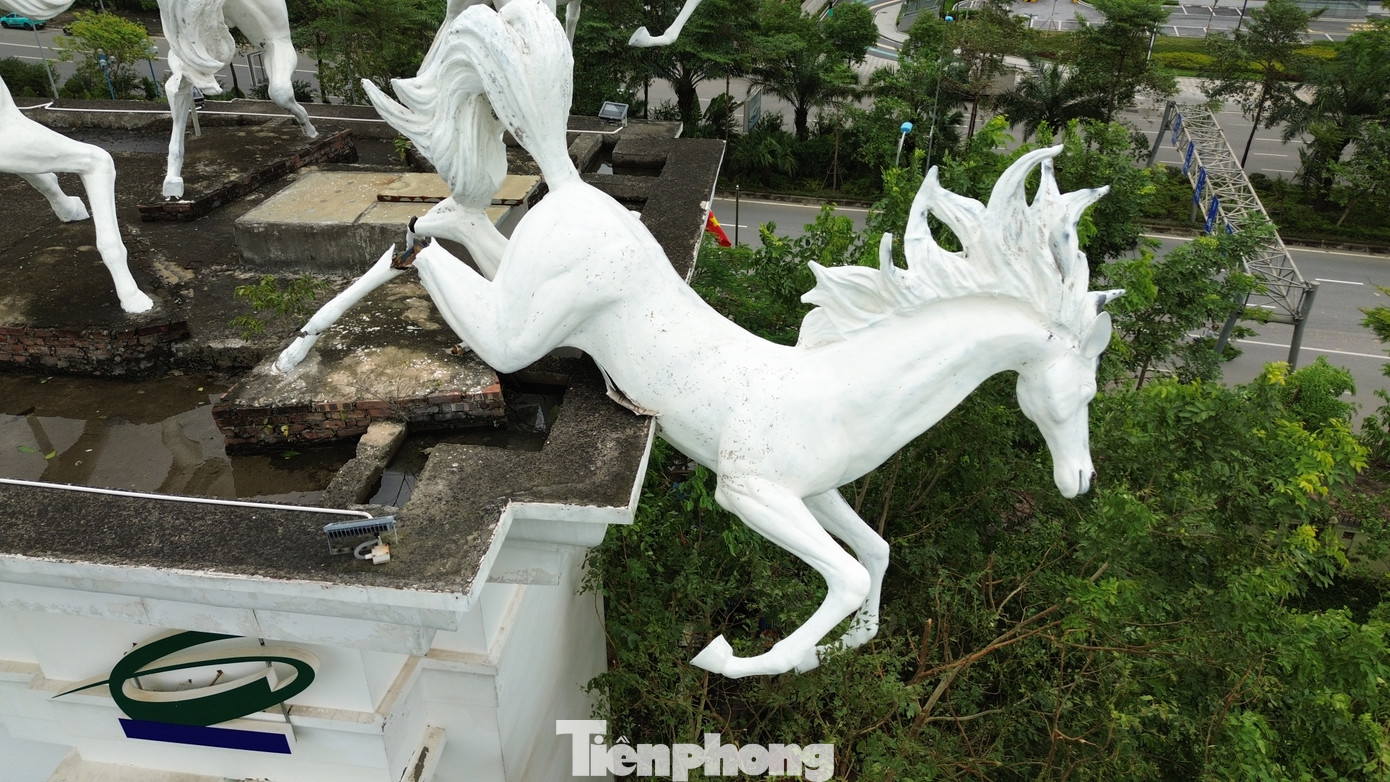 Đáng chú ý, vị trí của các tượng mã đã dịch chuyển hoàn toàn so với ban đầu. Thậm chí, có tượng còn đua quá nửa thân người ra khỏi khung bê tông của cổng. Đáng chú ý, vị trí của các tượng mã đã dịch chuyển hoàn toàn so với ban đầu. Thậm chí, có tượng còn đua quá nửa thân người ra khỏi khung bê tông của cổng.