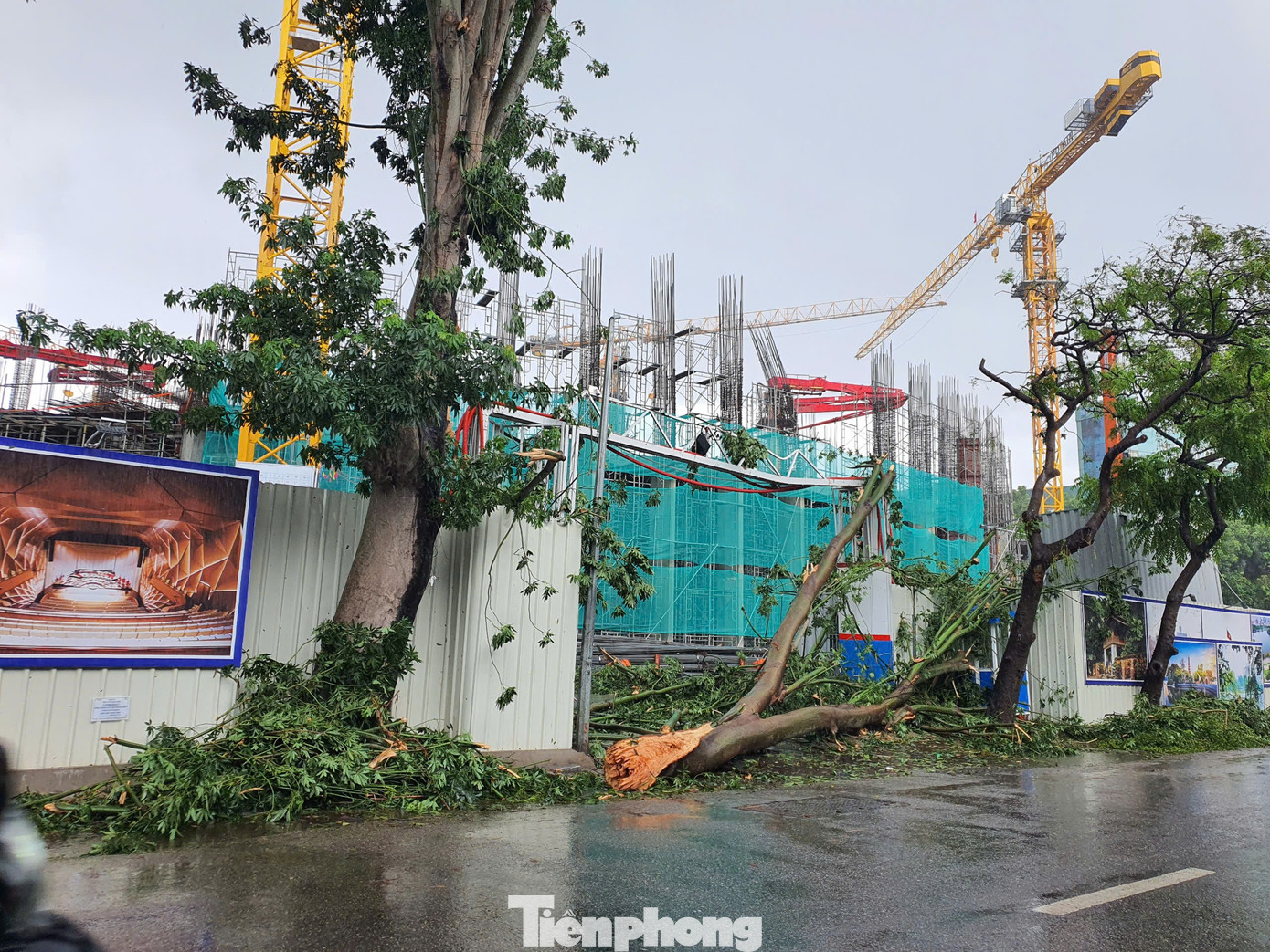 Cổng dự án trụ sở Bộ Công an trên đường Lê Duẩn bị cây lớn đổ sập Cổng dự án trụ sở Bộ Công an trên đường Lê Duẩn bị cây lớn đổ sập