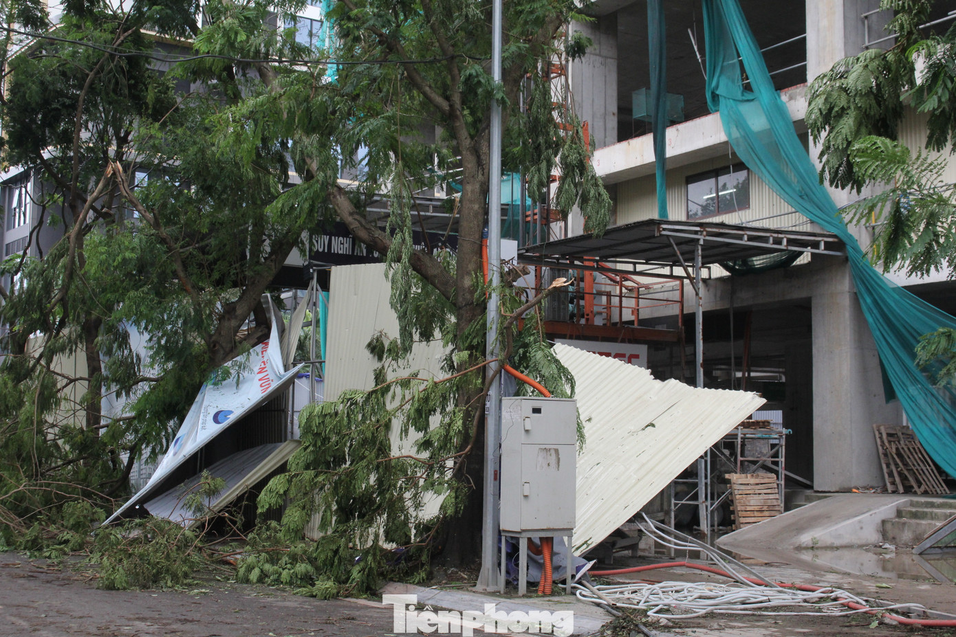 Phần cổng và tôn quây của dự án bị cây to đè lên và đổ sập. Phần cổng và tôn quây của dự án bị cây to đè lên và đổ sập.