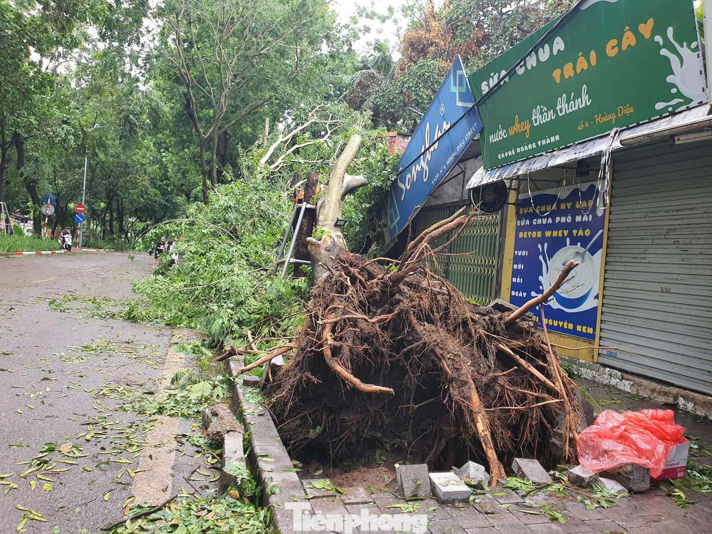 Trên đường Hoàng Diệu, dãy nhà bị cây bật gốc đè vào. Trên đường Hoàng Diệu, dãy nhà bị cây bật gốc đè vào.