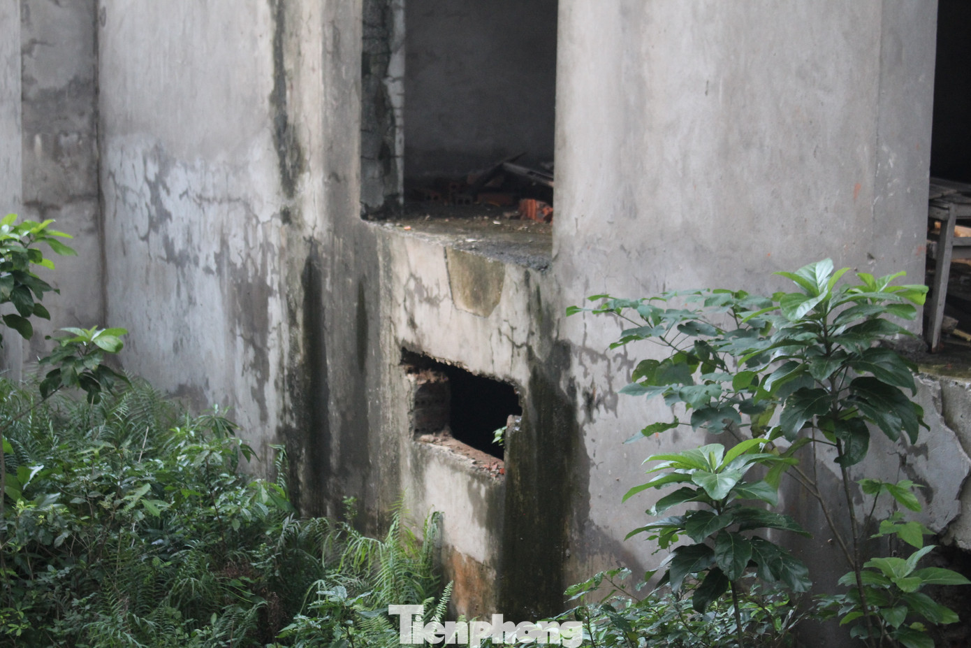 Trong khi đó, đối với đất đai, Sở Xây dựng nêu rõ tiến độ sử dụng đất chậm 24 tháng so với tiến độ ghi trong dự án đầu tư, kể từ khi nhận bàn giao đất trên thực địa.