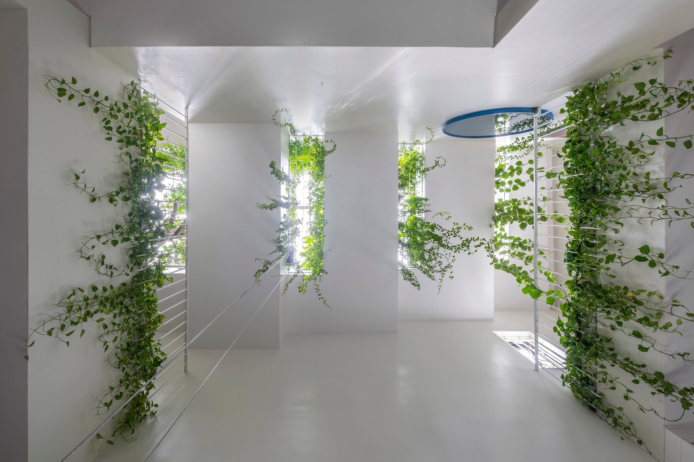 Ngôi nhà là một khuôn khổ kiến trúc nuôi dưỡng hệ sinh thái cộng sinh, giúp tạo ra một môi trường đô thị đáng sống và bền vững hơn, bằng cách giải quyết các vấn đề đô thị hóa và cung cấp một không gian sống lành mạnh và xanh hơn cho người ở.