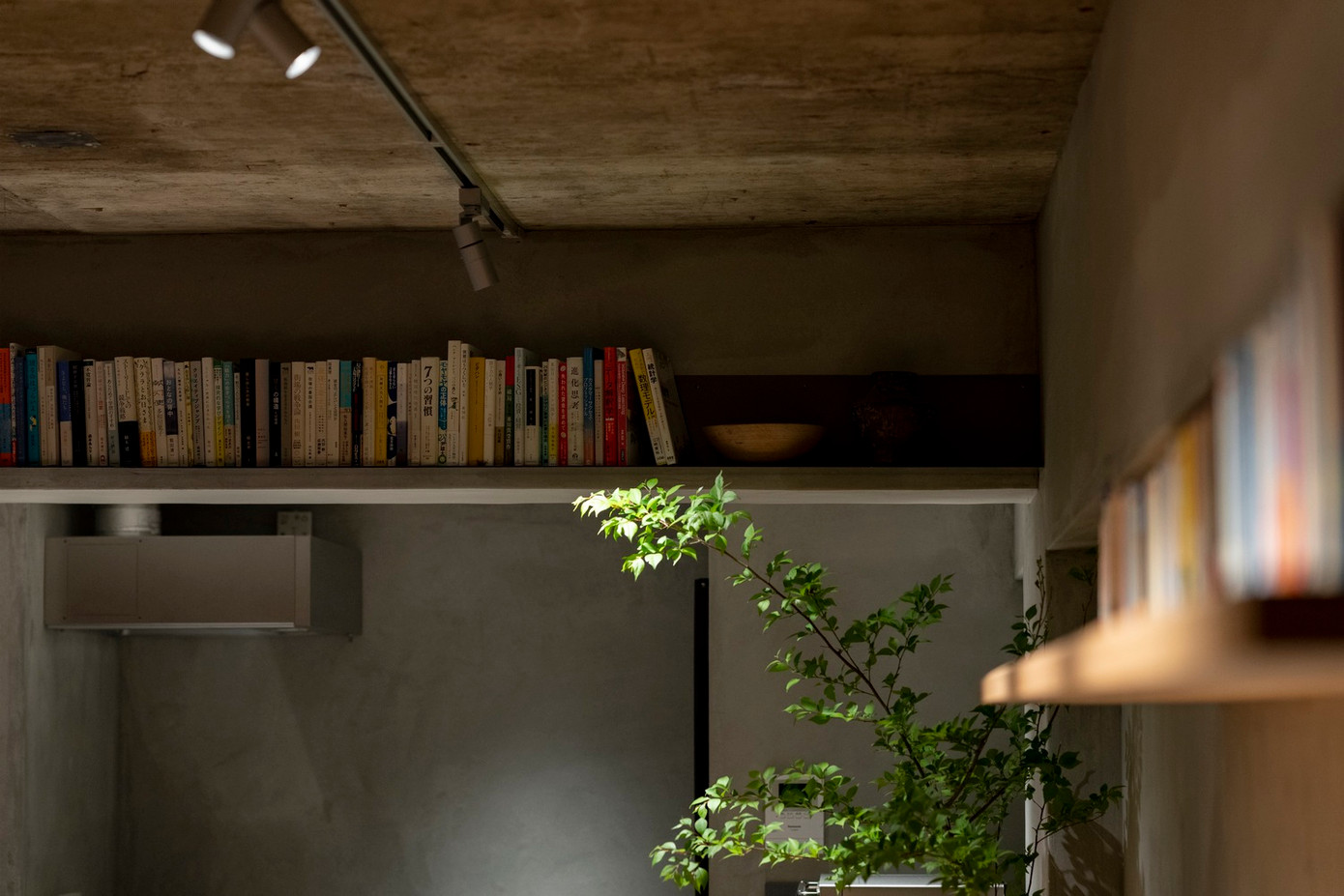 Những cuốn sách, trung tâm cuộc sống của gia chủ, đóng vai trò như một trung tâm kết nối, tạo ra không gian có độ tương phản thấp. Những cuốn sách, trung tâm cuộc sống của gia chủ, đóng vai trò như một trung tâm kết nối, tạo ra không gian có độ tương phản thấp.