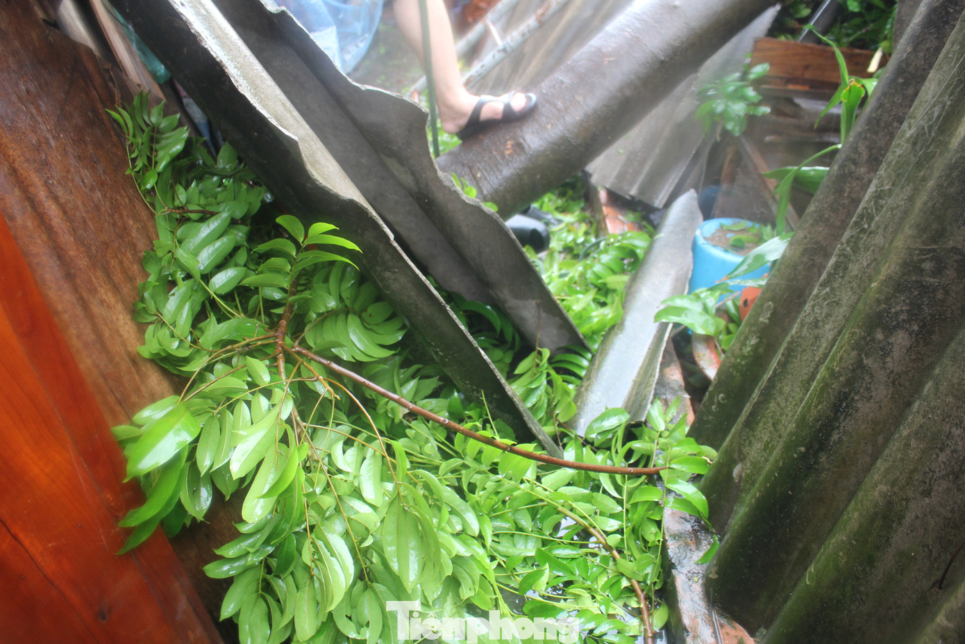 Do đó, các chuyên gia và người lao động nghèo hi vọng thời gian tới, nguồn cung về các dự án nhà ở xã hội, nhà ở giá rẻ cho người thu nhập thấp ở Thủ đô sẽ tăng, góp phần làm hạ giá cho thuê, giúp người nghèo nhẹ gánh cơm áo gạo tiền vài phần…