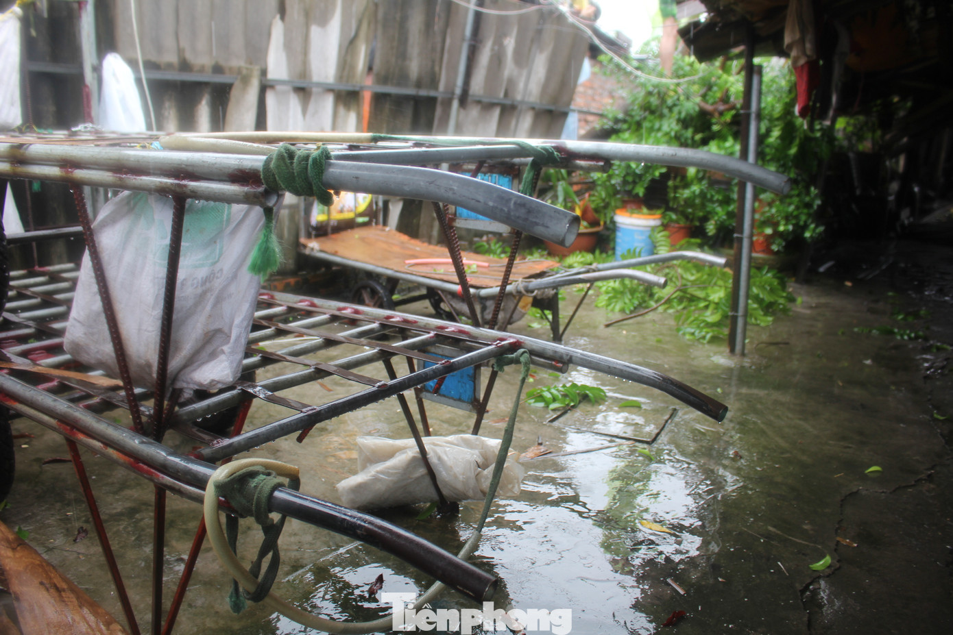 Được biết, đa phần người thuê trọ tại khu nhà cấp 4 tạm bợ này, đều sinh sống dựa vào nghề cửu vạn và nhặt ve chai, phế liệu trên chợ đầu mối Long Biên. Do đó, khi siêu bão Yagi đến, những người này phải ở nhà, không có thu nhập, khiến cuộc sống bị ảnh hưởng.