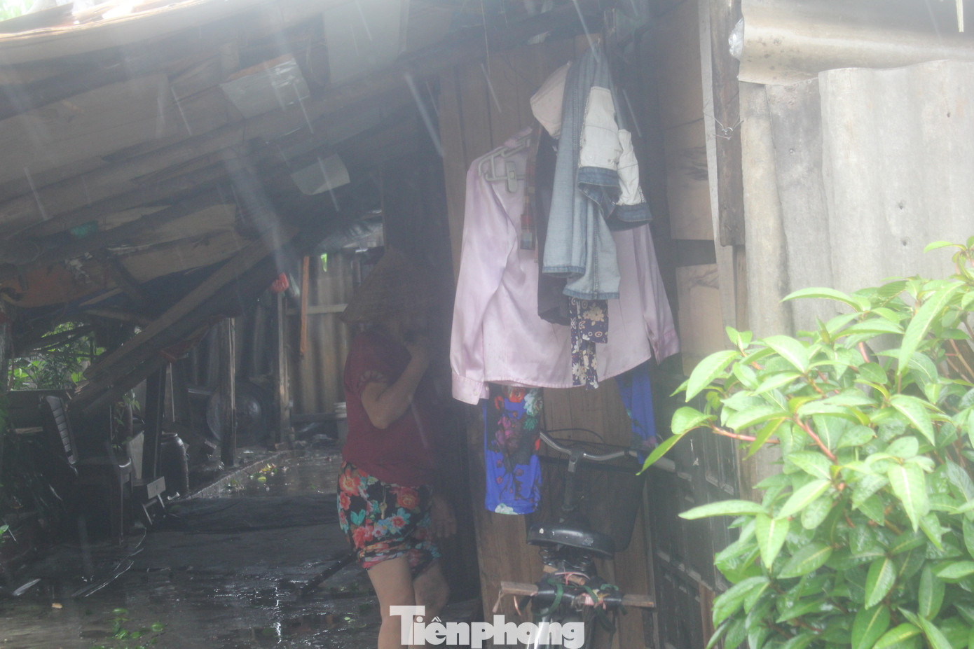 Cả cụ Quyết và cụ Băng hiện đều là người neo đơn, không có người thân chăm sóc. Công việc chính của hai cụ đều là nhặt ve chai trên chợ đầu mối Long Biên, với mức thu nhập trung bình từ 30 – 50 nghìn đồng/buổi.