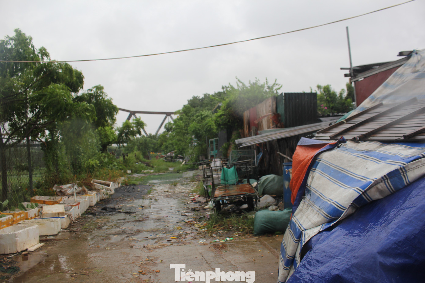 Do đó, trong cơn cuồng phong của siêu bão Yagi, hai cụ già chỉ có thể động viên nhau rằng bão sẽ sớm qua đi, mái nhà sẽ không bị bay mất.