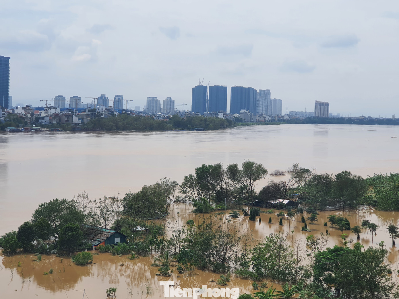 Nước lũ cũng nhấn chìm hoàn toàn các căn nhà tạm, để trông coi hoa màu và chuối ở bãi bồi giữa sông Hồng, dưới chân cầu Nhật Tân.