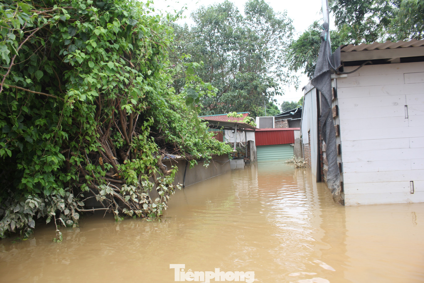 Việc này khiến nhiều người vô cùng sốt ruột, đếm từng giây để được về nhà, bởi nỗi lo khắc phục thiệt hại của cải và dọn dẹp nhà cửa sau ngập lụt.