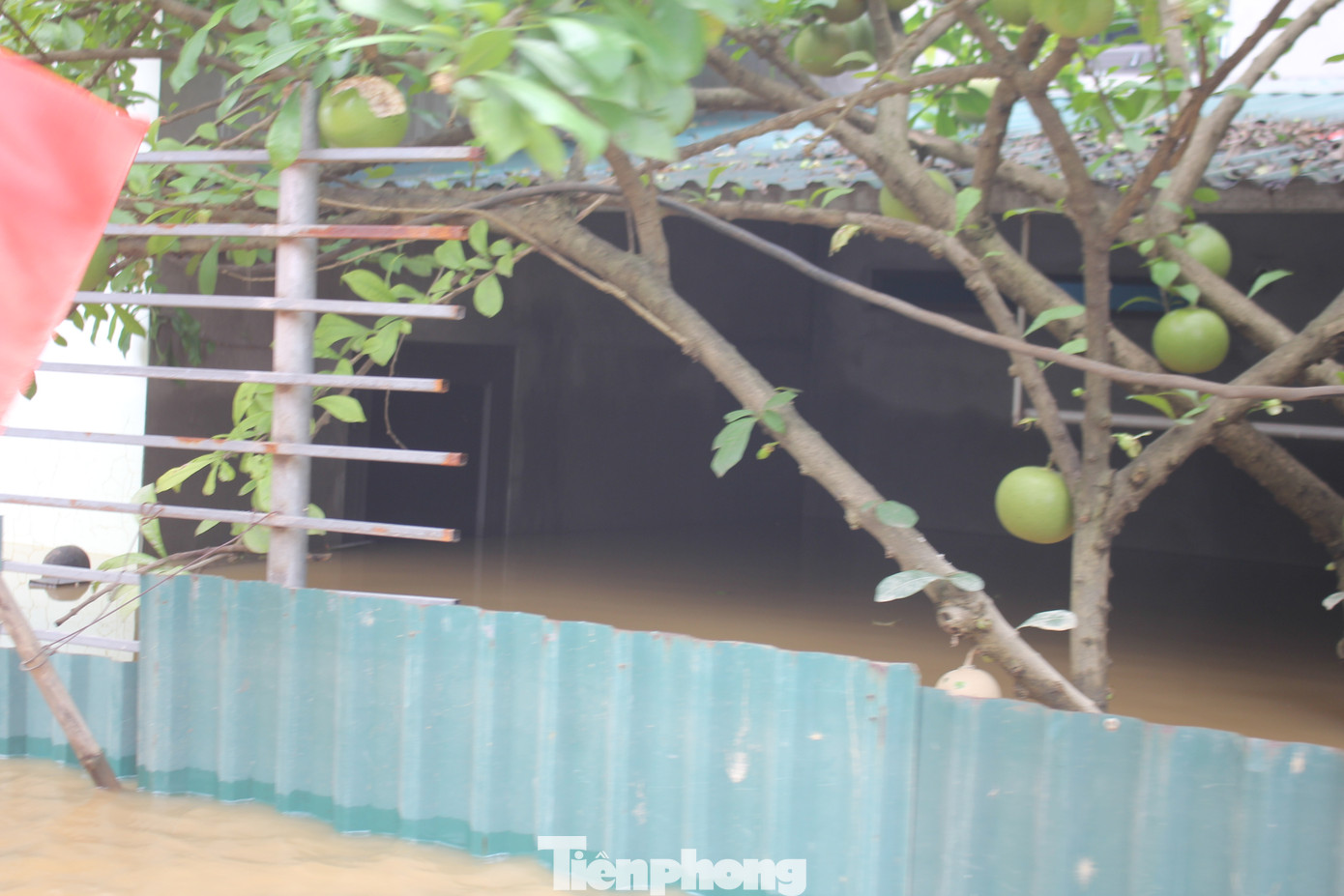 Một số người dân khi nhìn thấy ti vi, tủ lạnh, bàn ghế nổi khắp nơi trong nhà không cầm nổi nước mắt, vì tiếc của.