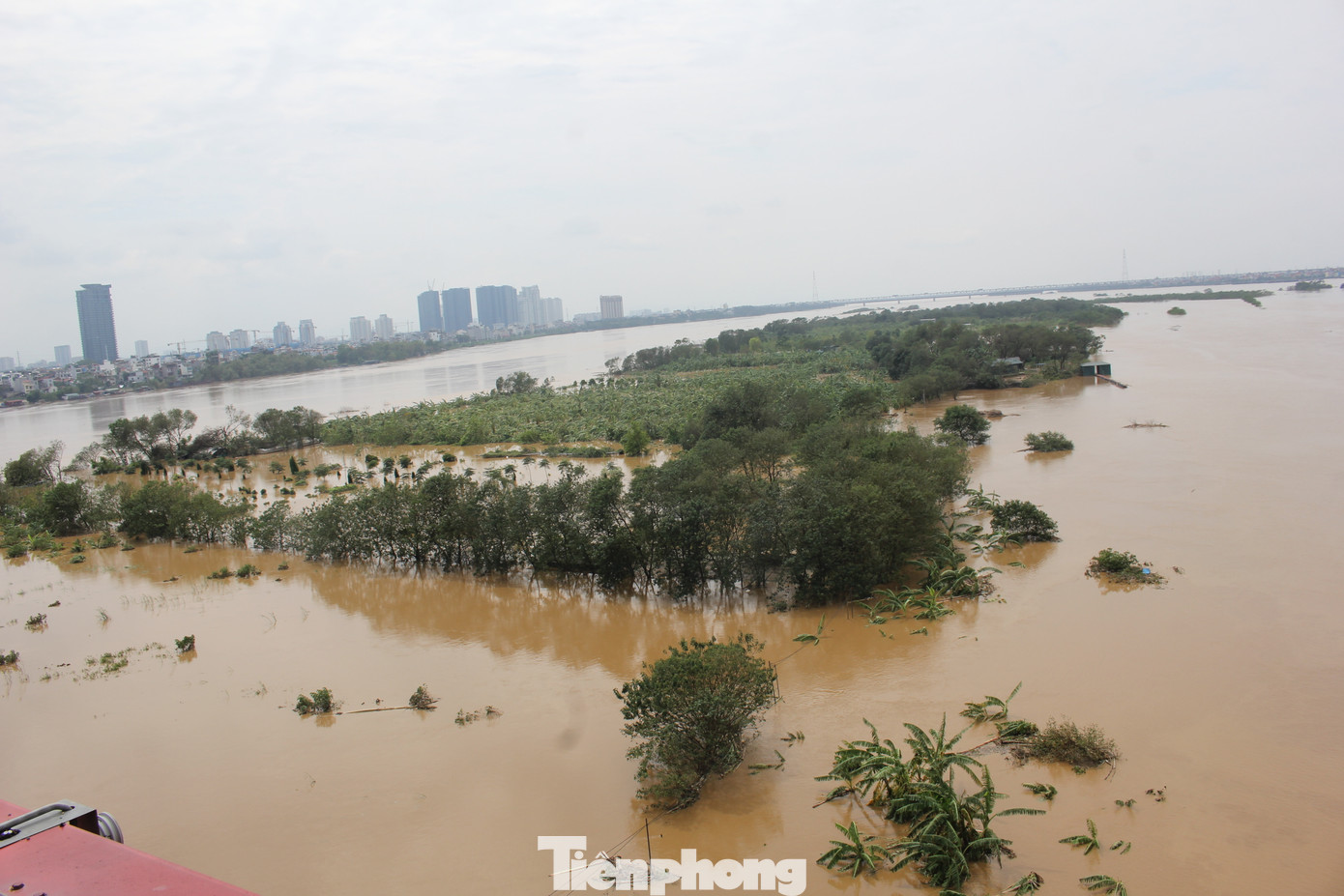 Nước lũ cũng nhấn chìm hoàn toàn các căn nhà tạm, để trông coi hoa màu và chuối ở bãi bồi giữa sông Hồng, dưới chân cầu Nhật Tân.