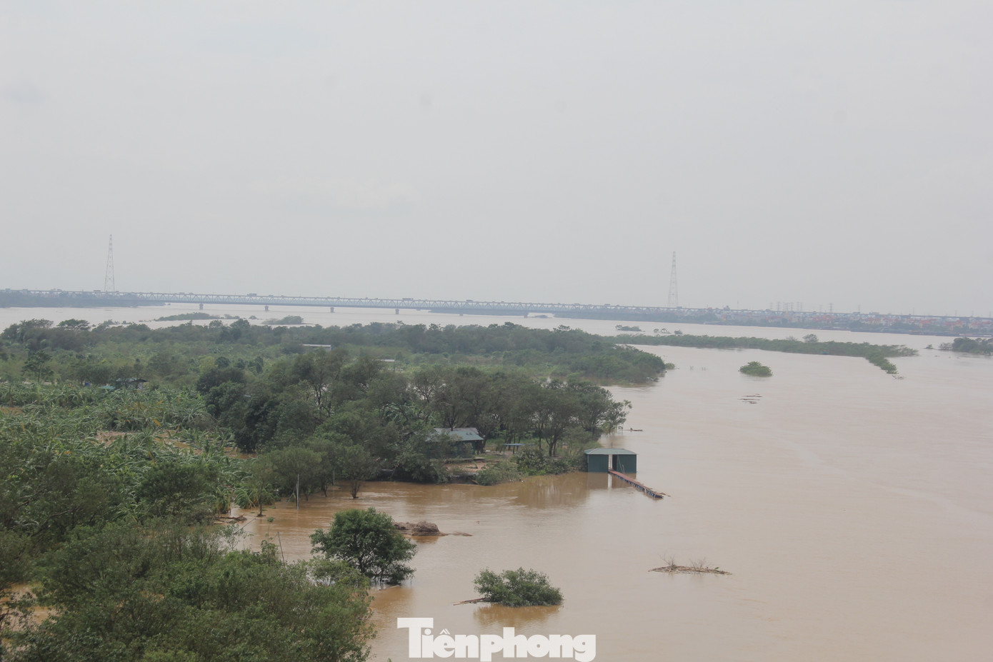 Nước lũ cũng nhấn chìm hoàn toàn các căn nhà tạm, để trông coi hoa màu và chuối ở bãi bồi giữa sông Hồng, dưới chân cầu Nhật Tân.