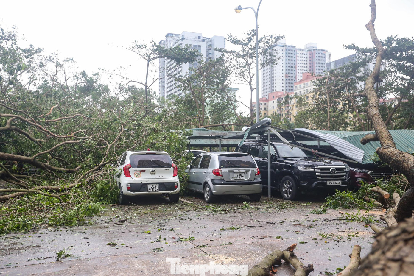 Siêu bão khiến hàng loạt cây lớn bật gốc, đổ đè lên ô tô, chắn ngang lối đi và sân nội khu trong khu đô thị đông dân nhất Thủ đô - KĐT Linh Đàm (quận Hoàng Mai). Siêu bão khiến hàng loạt cây lớn bật gốc, đổ đè lên ô tô, chắn ngang lối đi và sân nội khu trong khu đô thị đông dân nhất Thủ đô - KĐT Linh Đàm (quận Hoàng Mai).