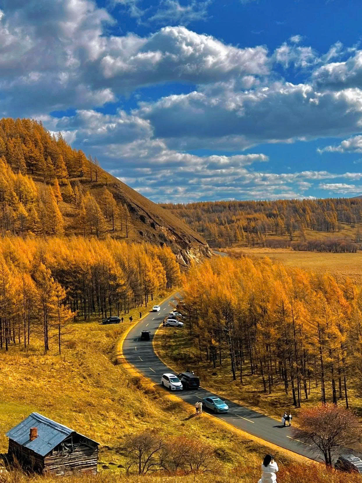 Sau khi các hình ảnh và video về mùa thu ở dãy Đại Hưng An Lĩnh xuất hiện trên các nền tảng mạng xã hội của Trung Quốc và thế giới, đã nhận được hàng trăm triệu lượt yêu thích vì vẻ đẹp siêu thực như chốn thần tiên nơi hạ giới.