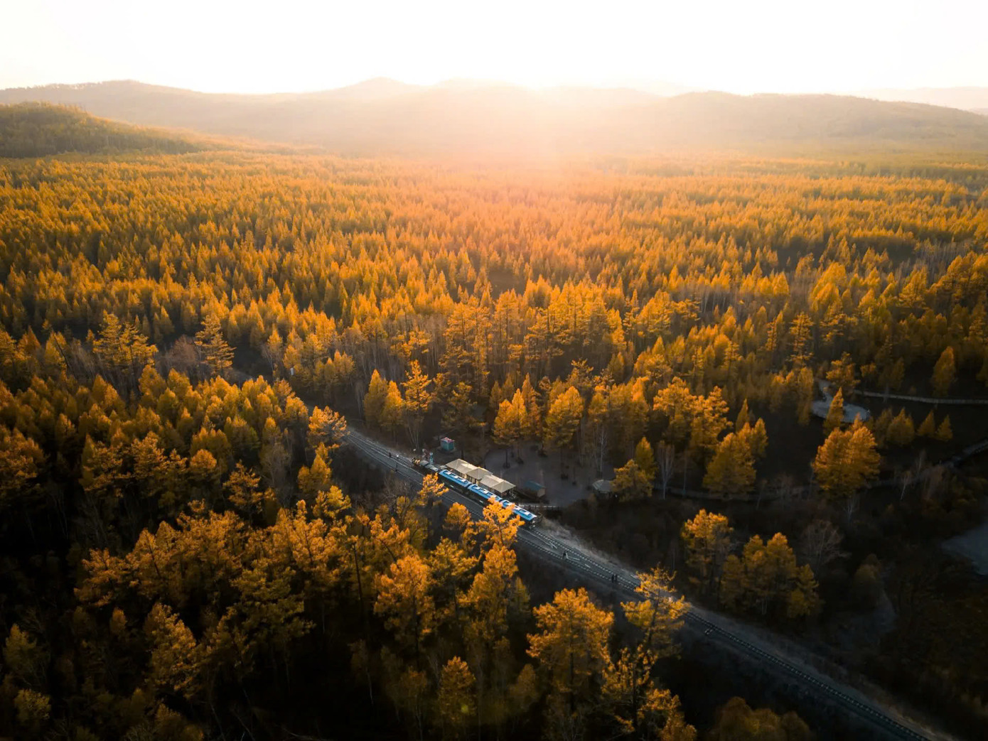 Khảo sát thực tế, hiện nay du khách Việt Nam muốn đến chiêm ngưỡng mùa Thu tại Đại Hưng An Lĩnh có thể lựa chọn đường bay từ sân bay Tân Sơn Nhất (TPHCM) hay sân bay Nội Bài (Hà Nội) đến sân bay Ordos (Ngạc Nhĩ Đa Tư) - Nội Mông. Mỗi chuyến bay kéo dài khoảng 6 giờ đồng hồ. Sau đó, du khách sẽ di chuyển bằng phương tiện đường bộ để đến Đại Hưng An Lĩnh.