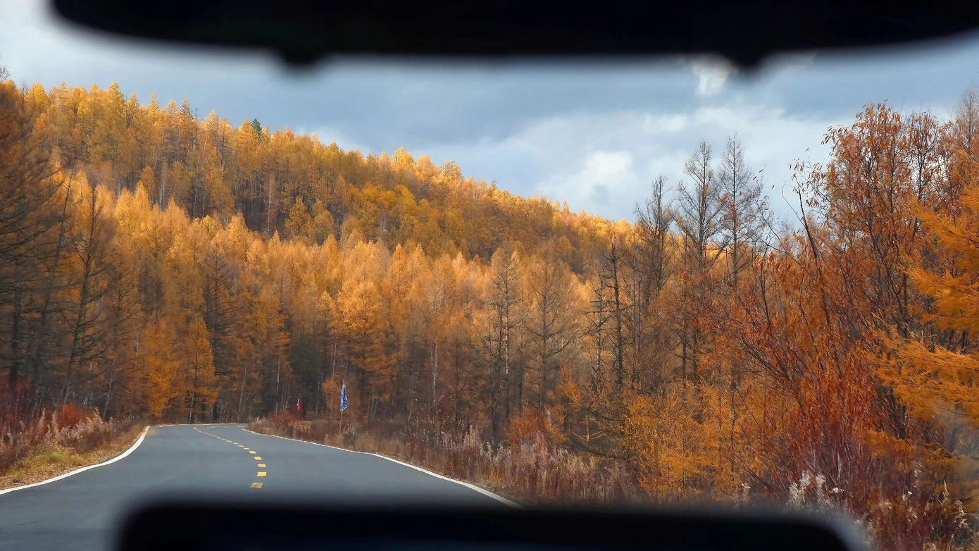 Khảo sát thực tế, hiện nay du khách Việt Nam muốn đến chiêm ngưỡng mùa Thu tại Đại Hưng An Lĩnh có thể lựa chọn đường bay từ sân bay Tân Sơn Nhất (TPHCM) hay sân bay Nội Bài (Hà Nội) đến sân bay Ordos (Ngạc Nhĩ Đa Tư) - Nội Mông. Mỗi chuyến bay kéo dài khoảng 6 giờ đồng hồ. Sau đó, du khách sẽ di chuyển bằng phương tiện đường bộ để đến Đại Hưng An Lĩnh.