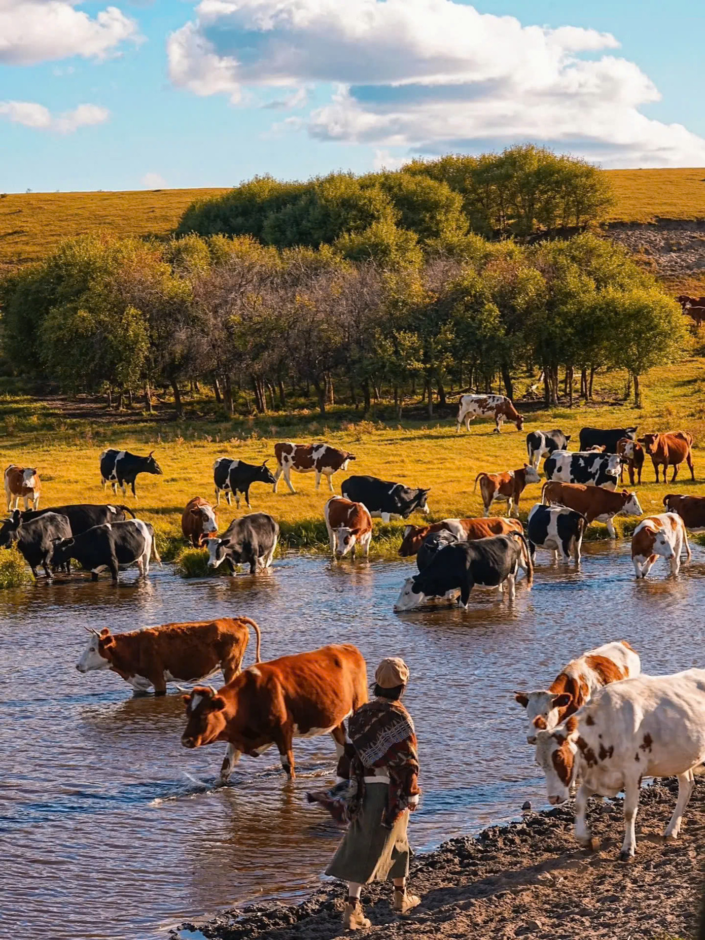 Theo người dân địa phương, những con sông uốn khúc này không chỉ tô thêm vẻ đẹp sống động cho mùa thu Đại Hưng An Lĩnh, mà còn là nguồn sống cho vùng đất này.