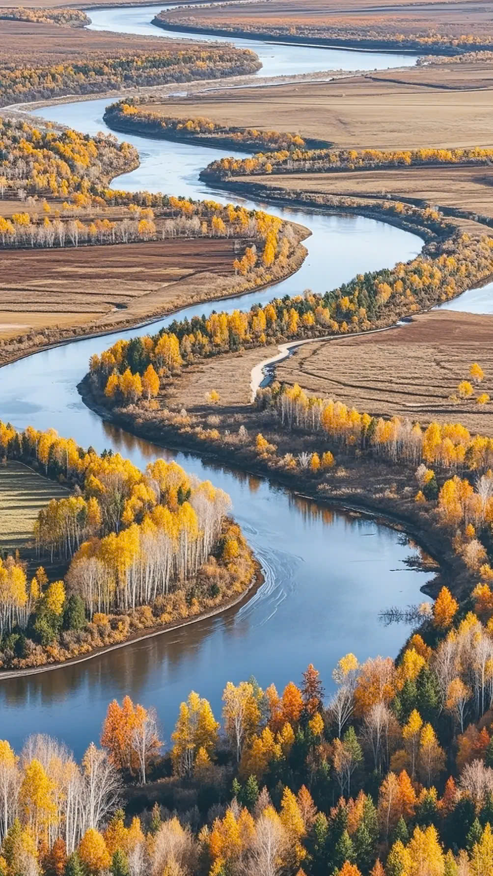 Ngoài sắc lá rực rỡ, mùa thu ở Đại Hưng An Lĩnh còn khiến vẻ đẹp của những dòng sông nơi đây trở nên huyền ảo. Dòng sông chảy xuyên qua khu rừng, lấp lánh như một dải ruy băng.