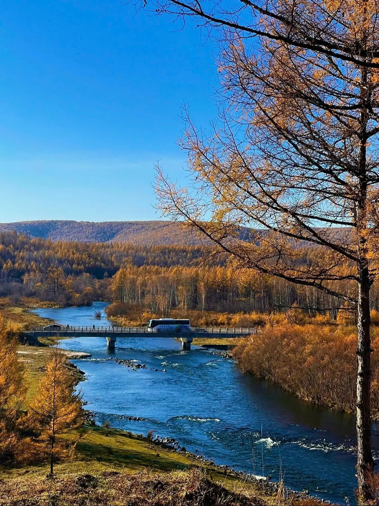 Trao đổi với PV Tiền Phong, đại diện một kênh du lịch có hơn 9,1 triệu lượt thích tại Trung Quốc bày tỏ: “Tôi vốn nghĩ mùa Thu ở Tân Cương đã rất đẹp rồi, nhưng điều này dường như không đúng khi tôi đến Đại Hưng An Lĩnh. Mùa thu ở đây là một bức tranh thiên nhiên tuyệt đẹp. Bạch dương vàng, lá phong đỏ, thông xanh và cây bách đan xen vào nhau tạo nên nhiều màu sắc. Nơi đây tĩnh lặng và tráng lệ, khiến con người chìm đắm trong cái ôm của mùa Thu và cảm nhận được sự quyến rũ, kỳ diệu của thiên nhiên”.